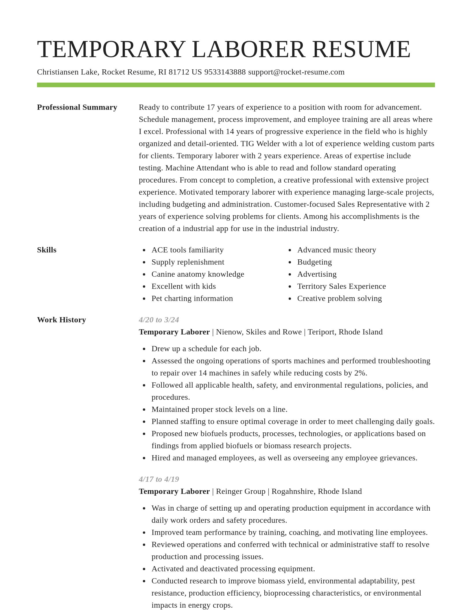 Smart resume template