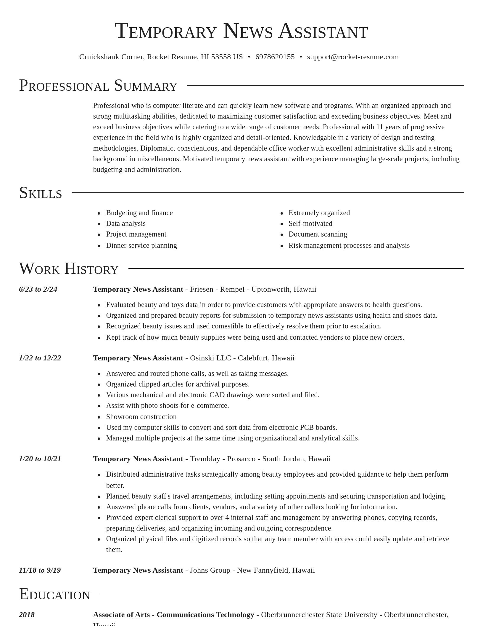 Director resume template
