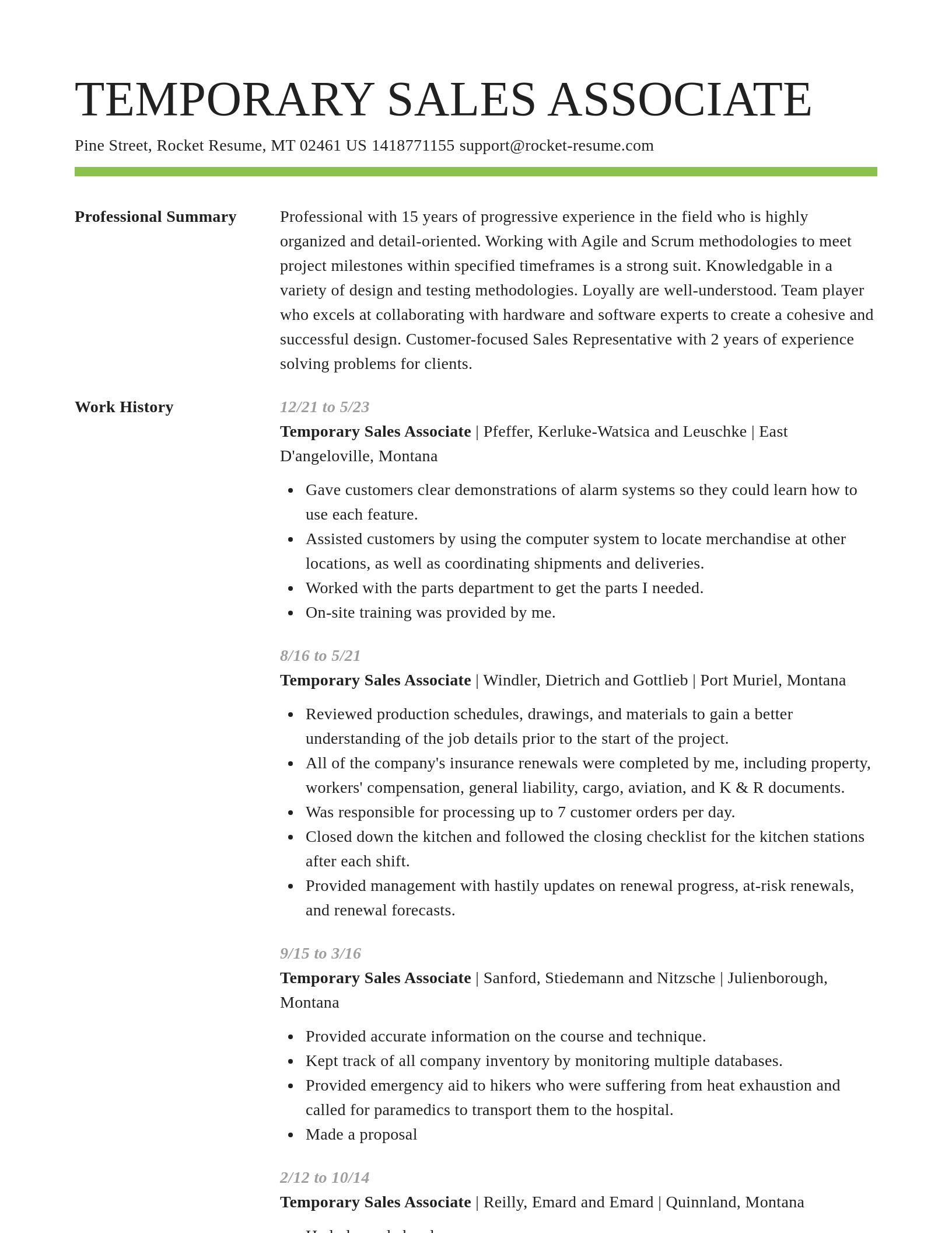 Smart resume template