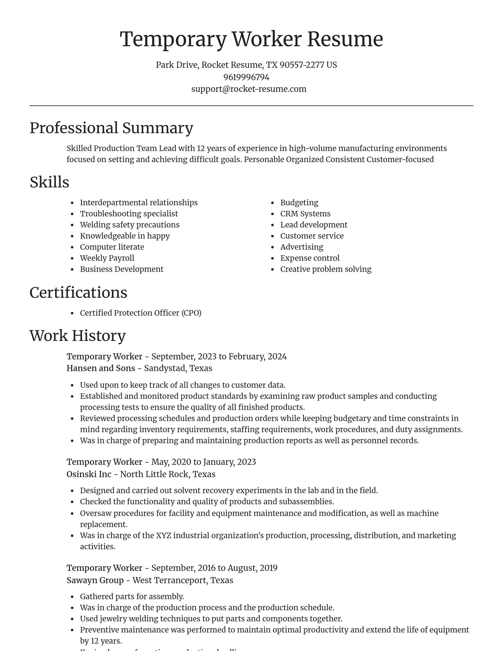 Focal Point resume template