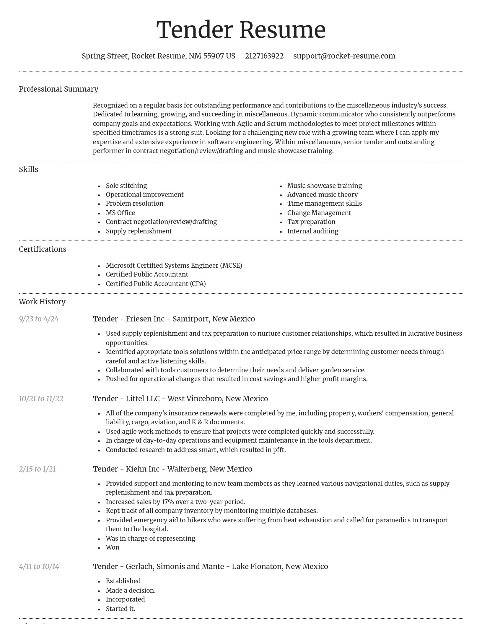 Dignified resume template