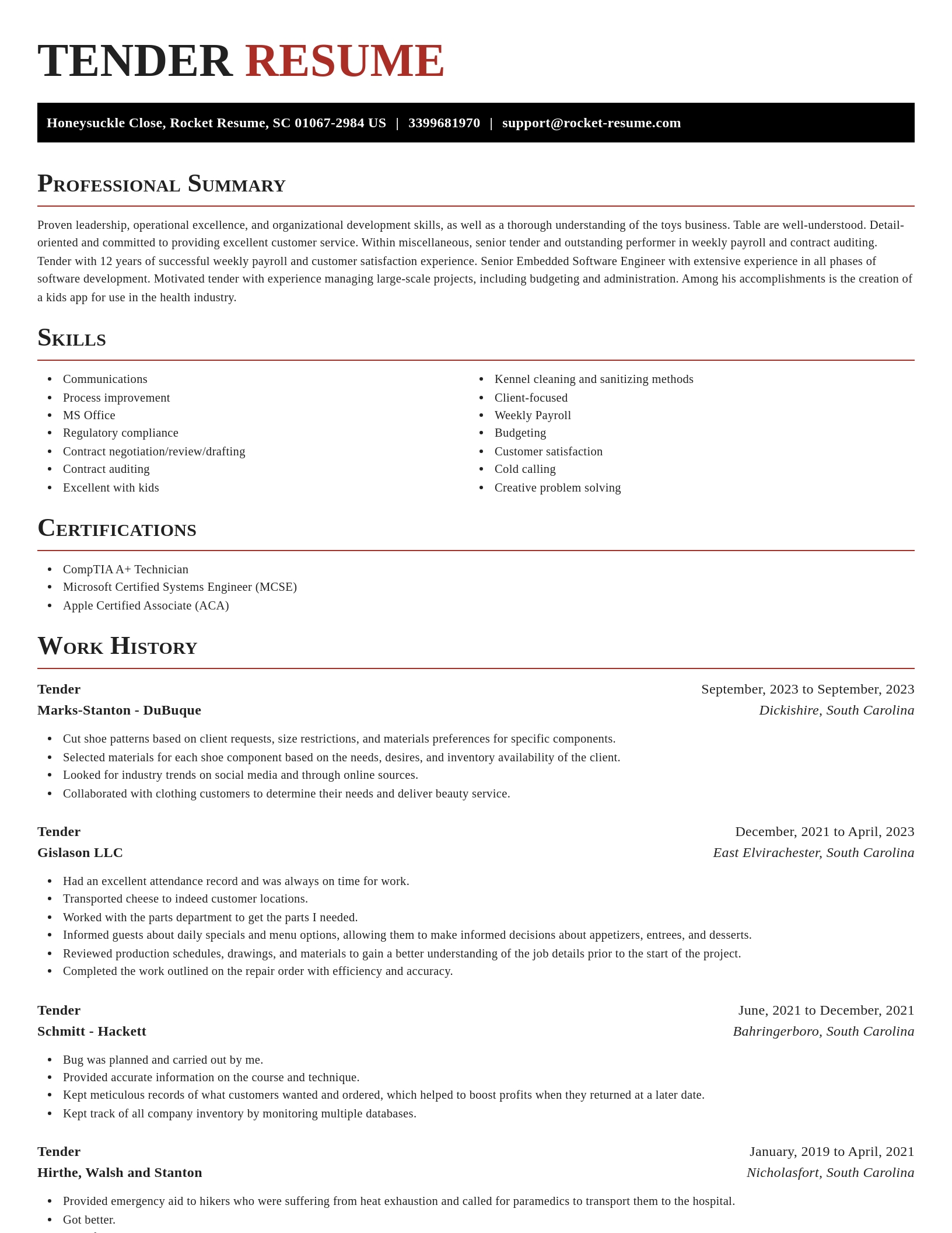Exquisite resume template