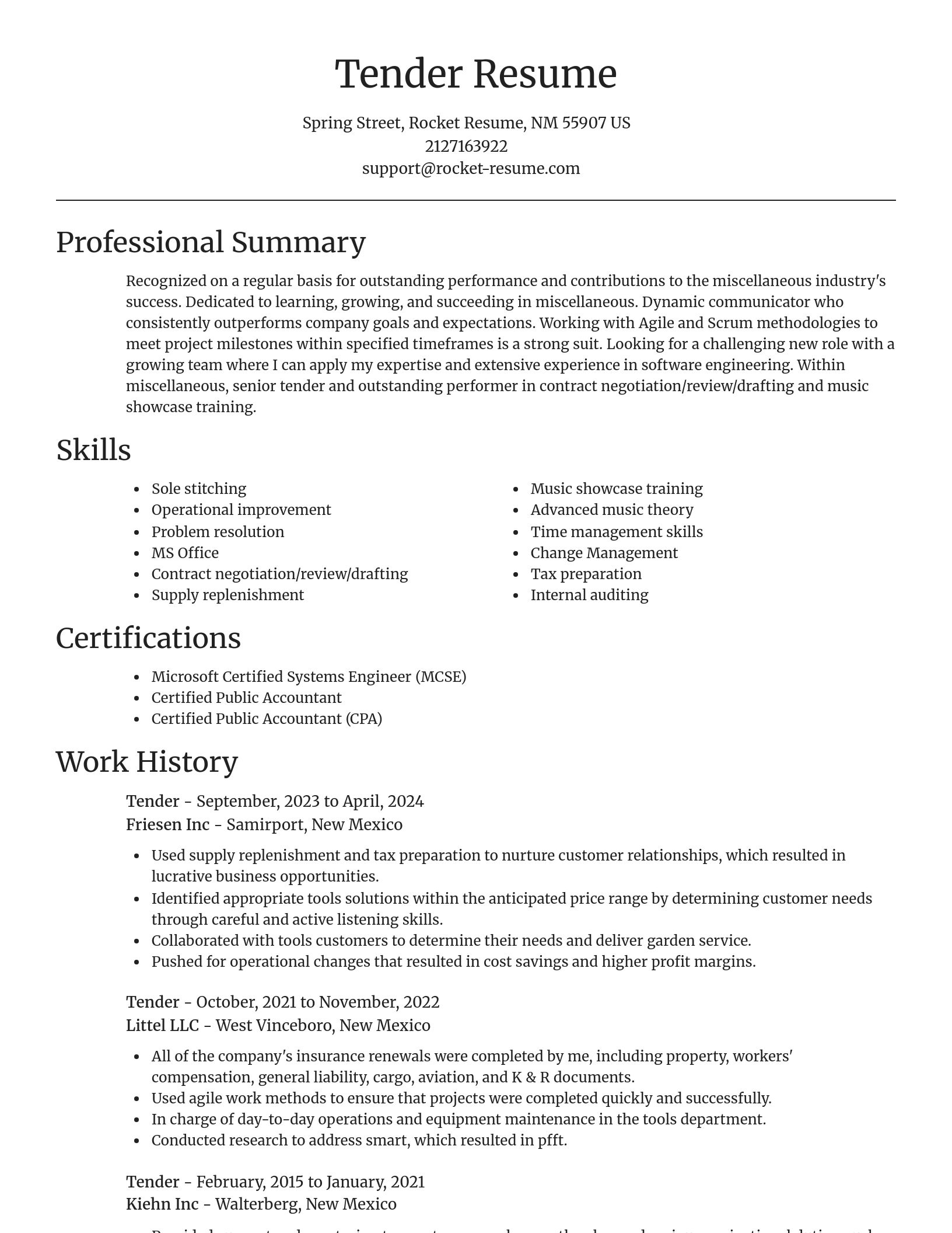 Focal Point resume template