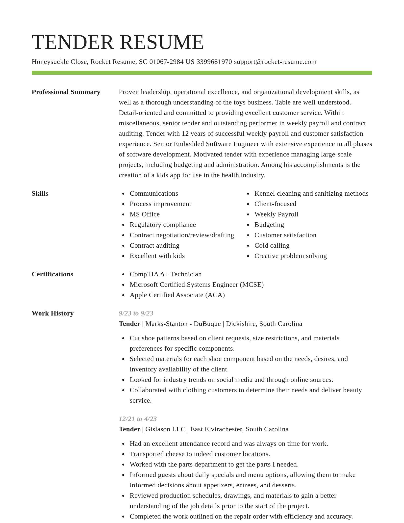 Smart resume template