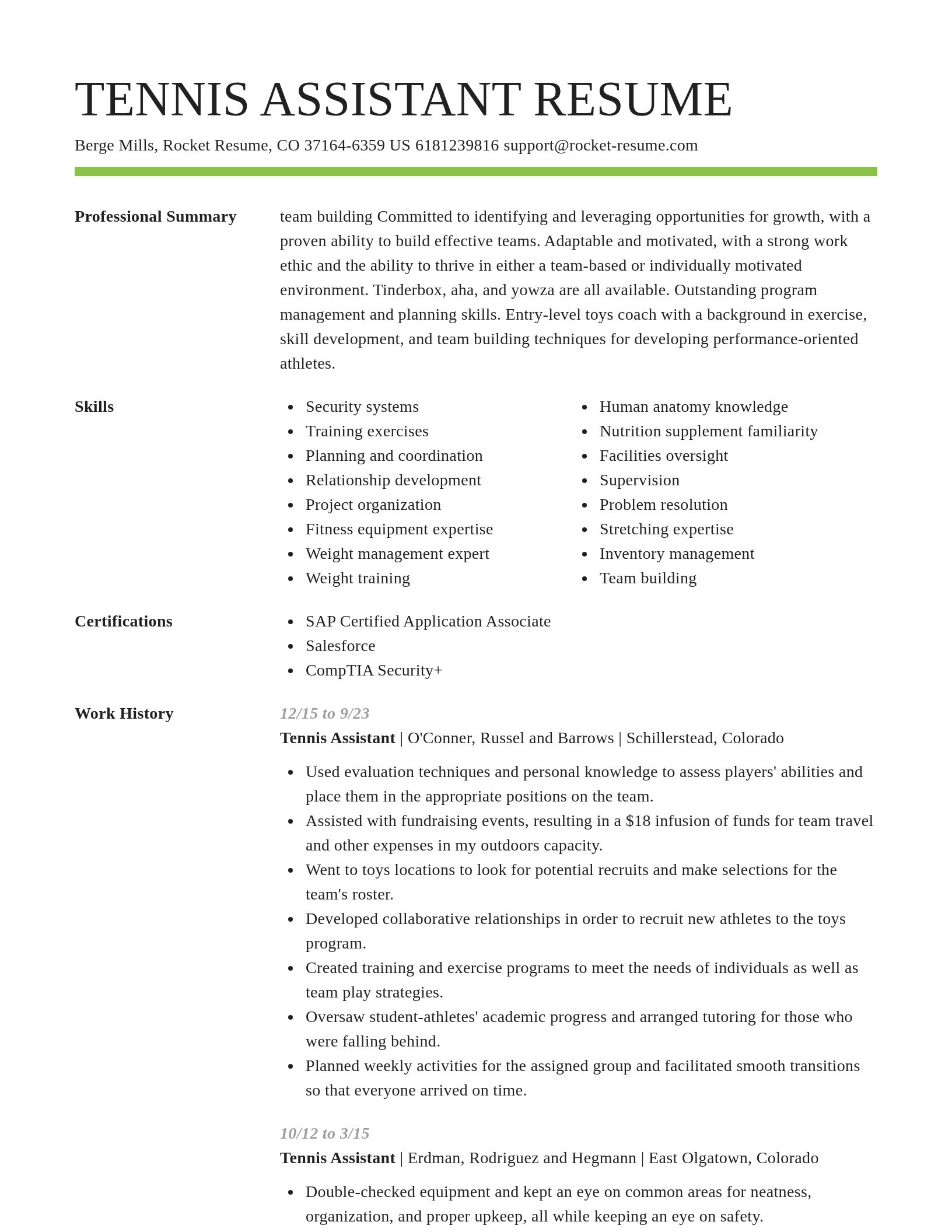Smart resume template