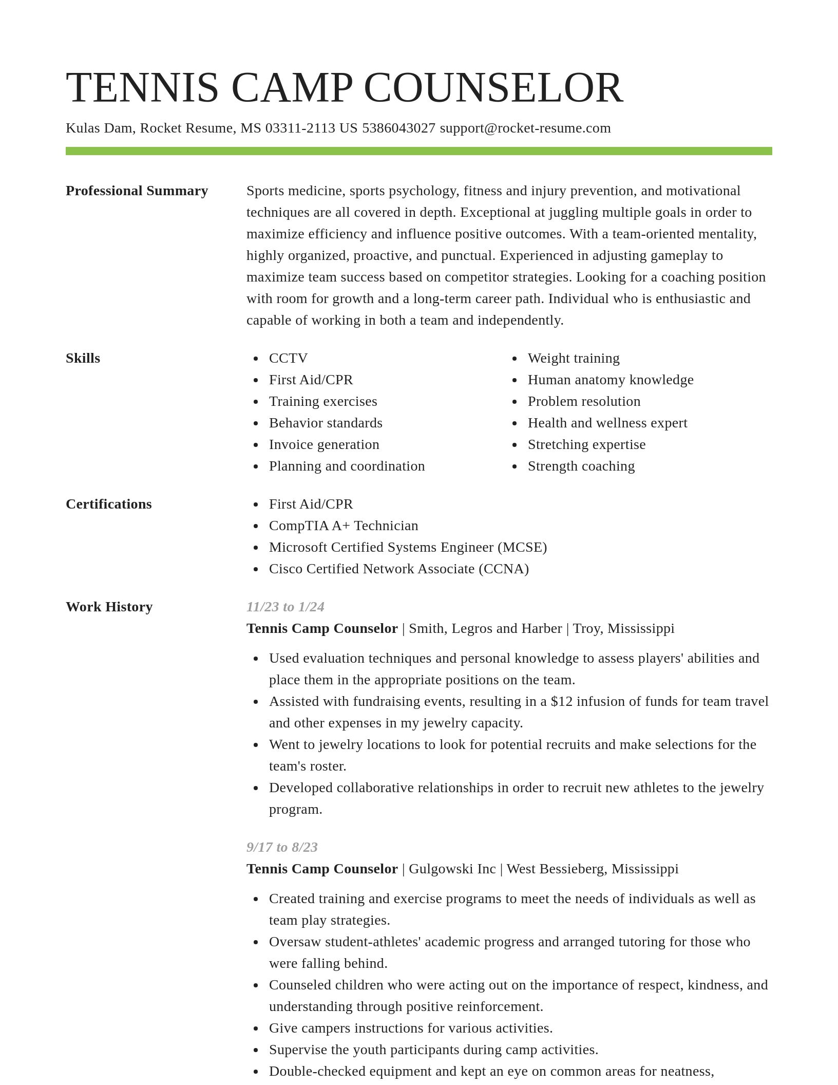 Smart resume template