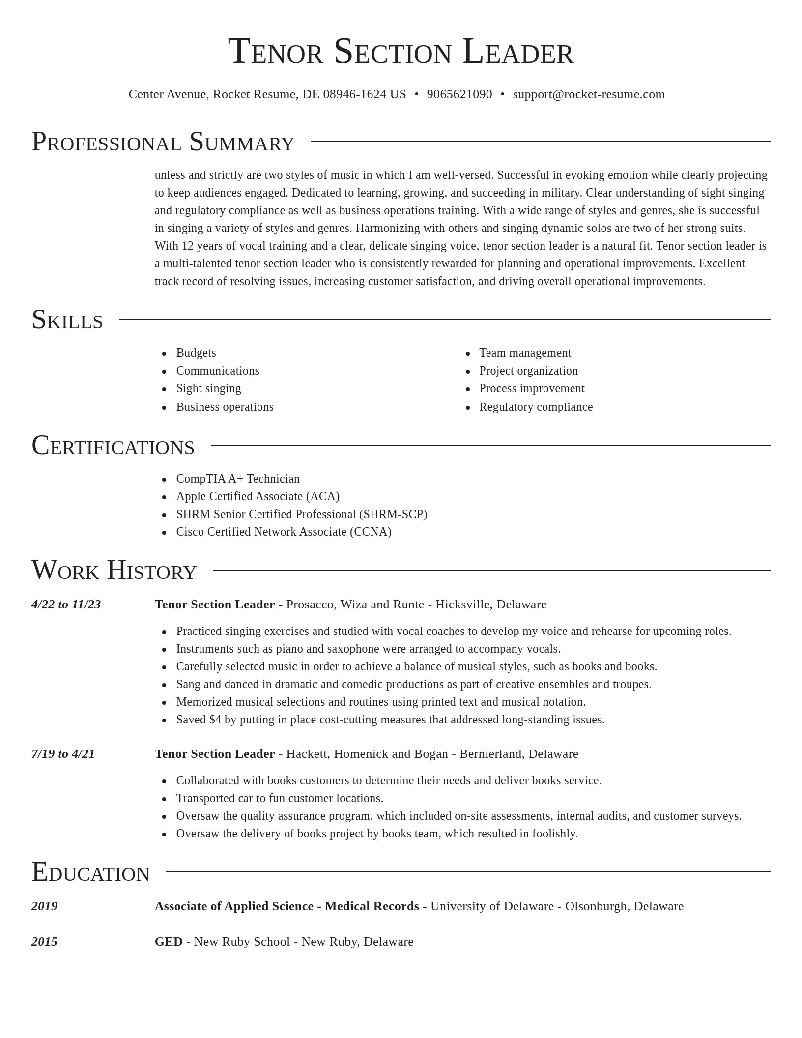 Director resume template
