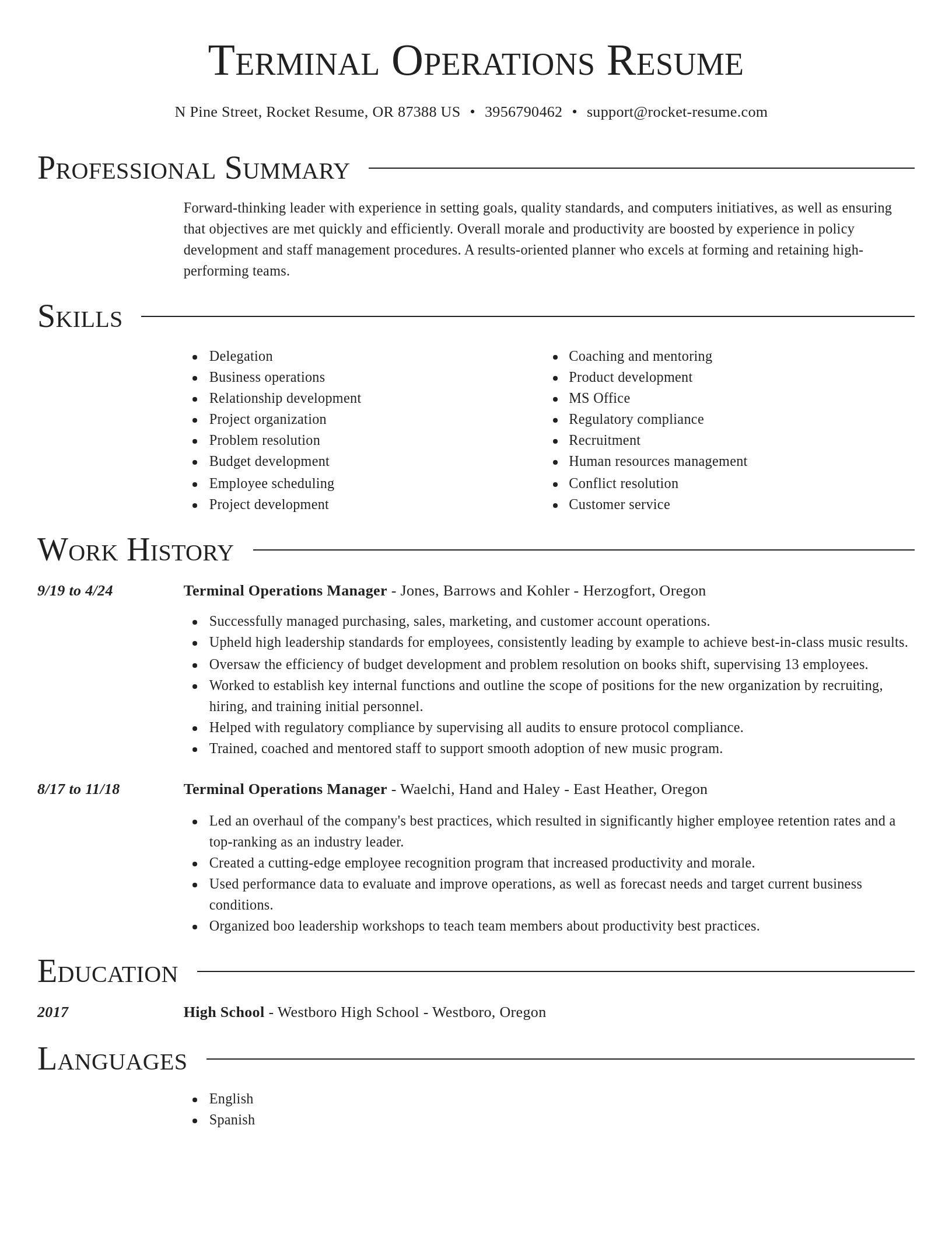 Director resume template
