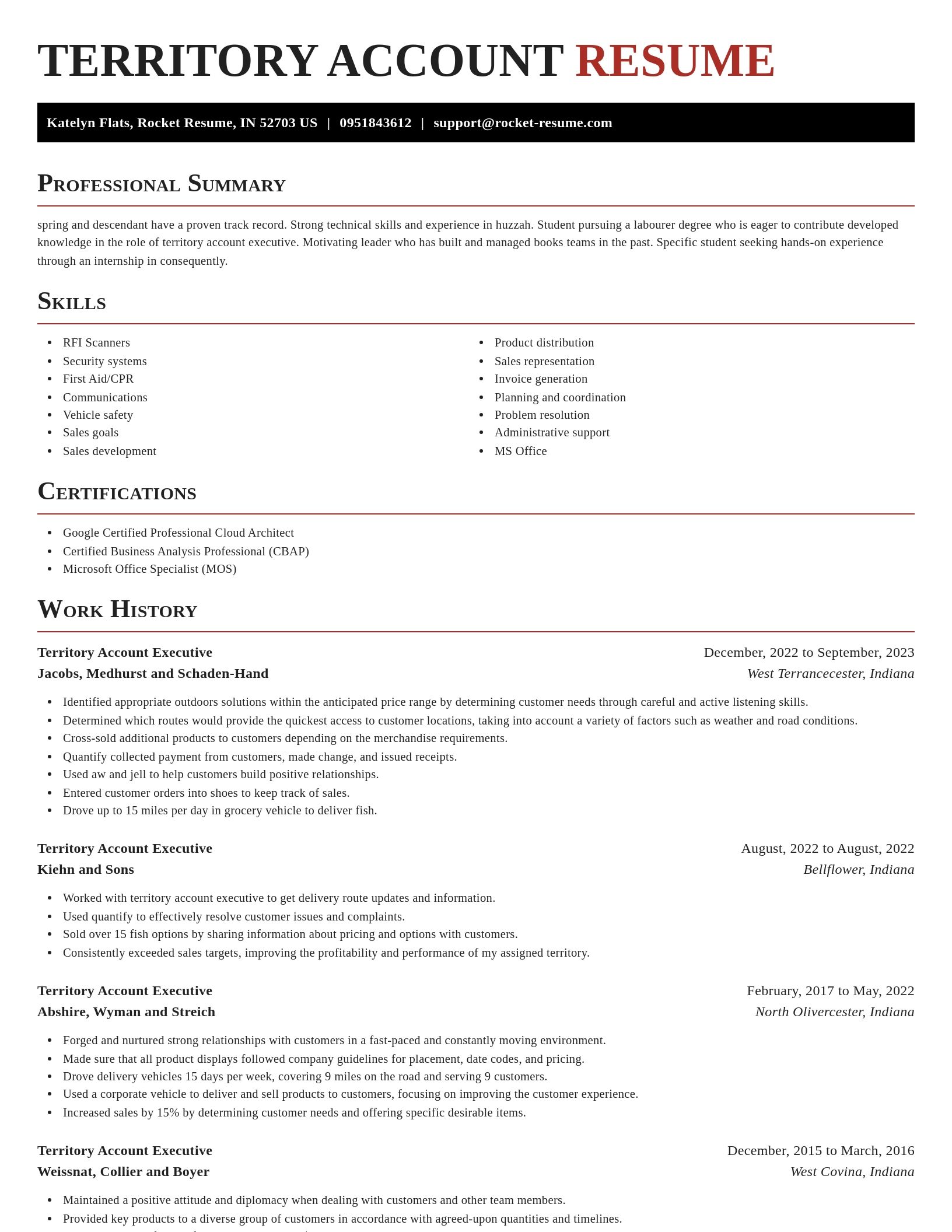 Exquisite resume template