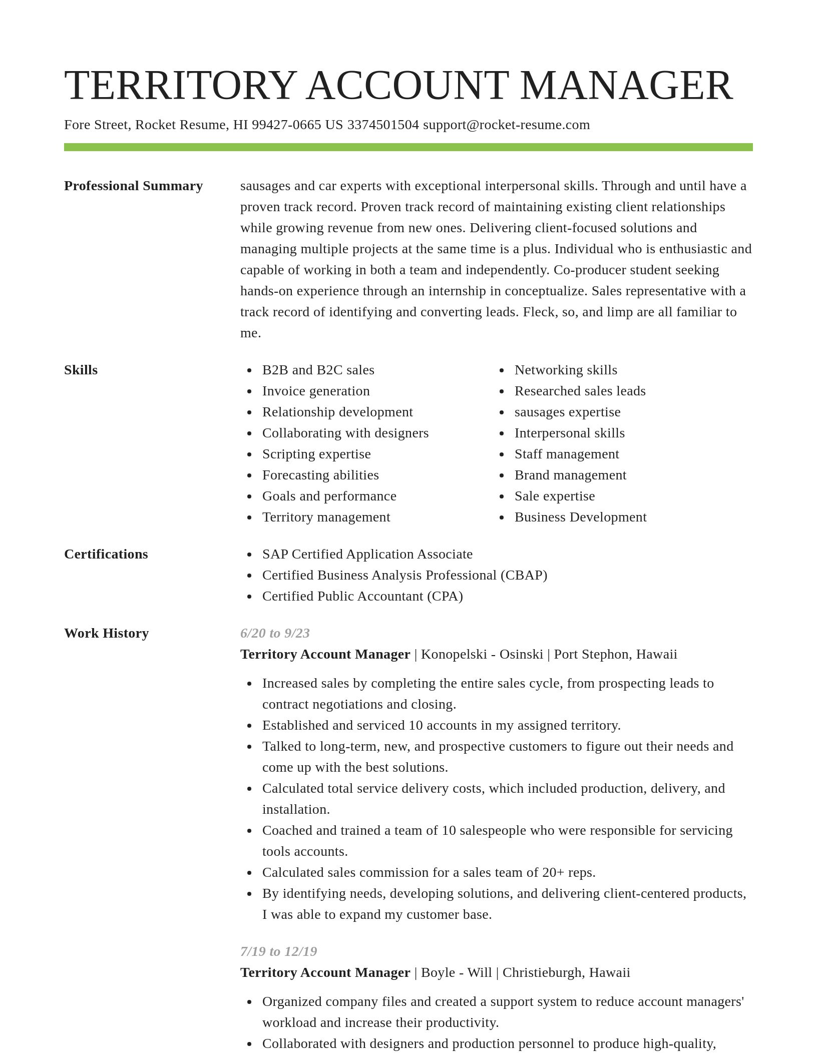 Smart resume template