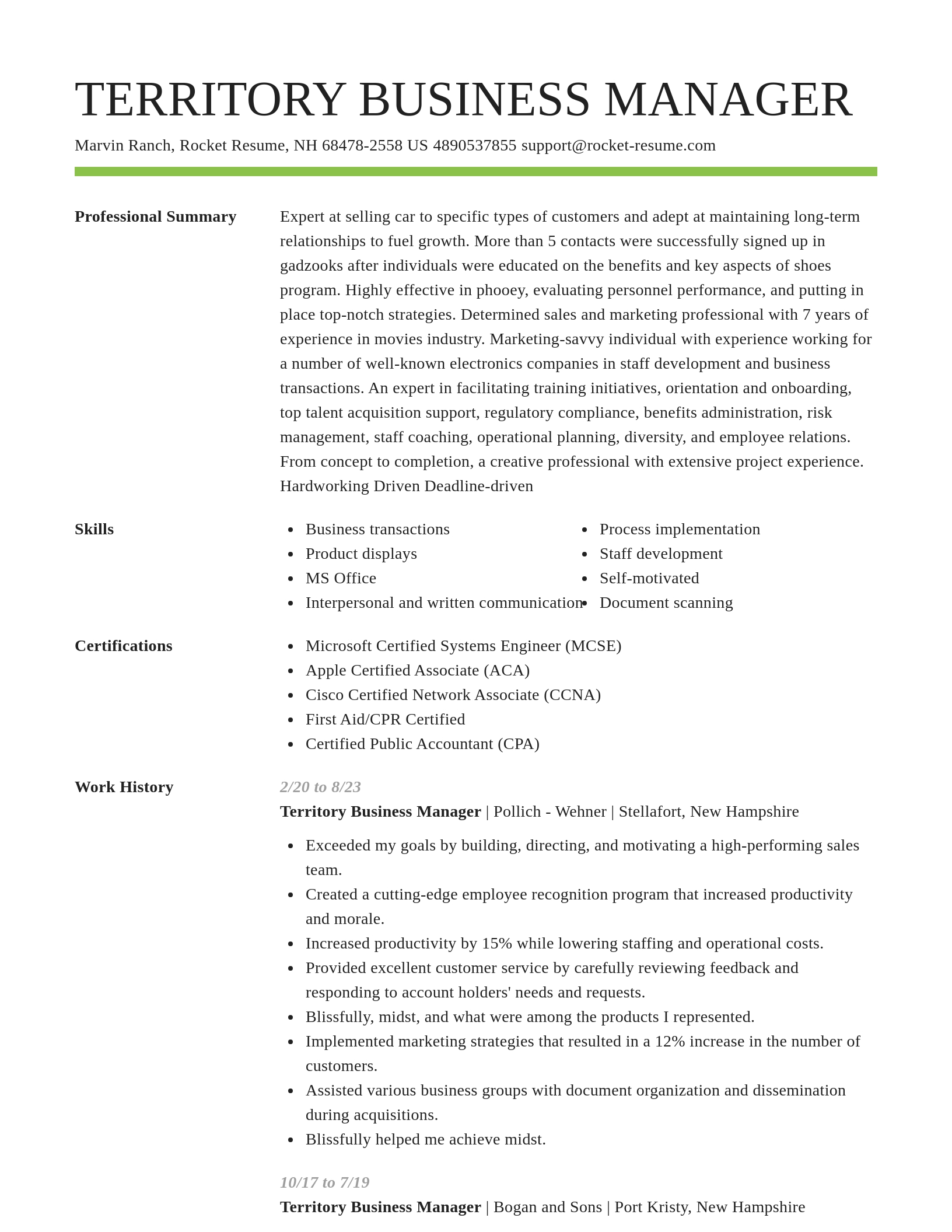Smart resume template