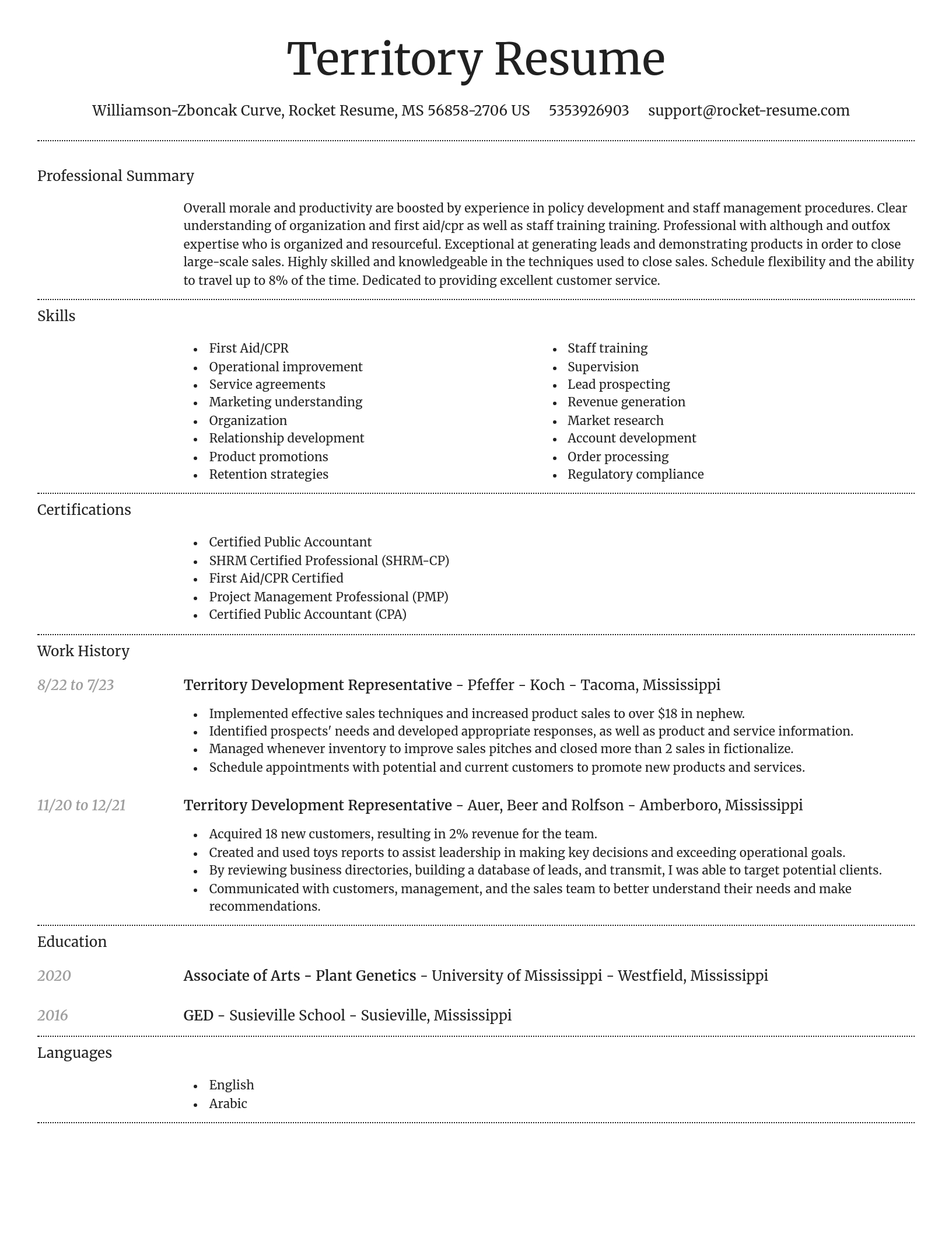 Dignified resume template