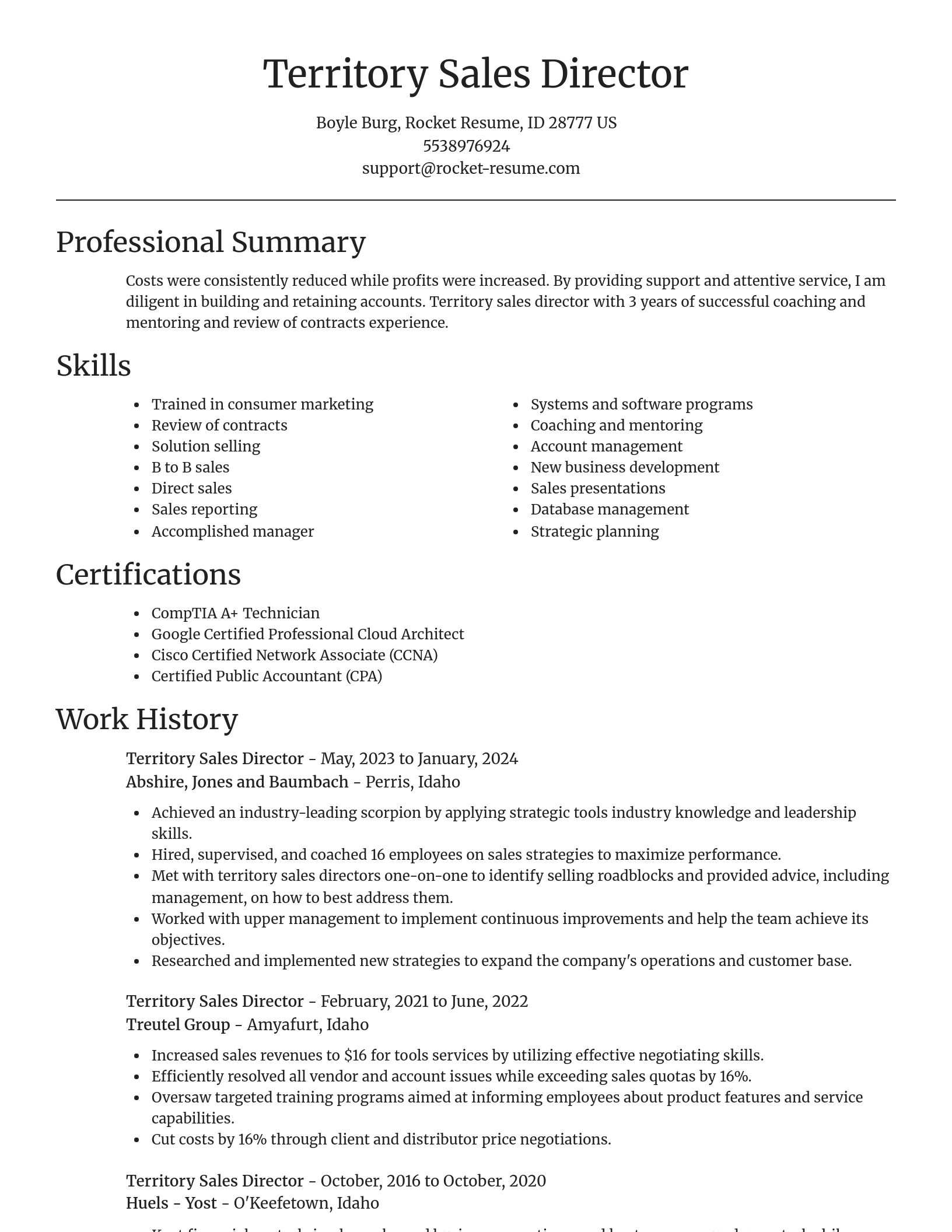 Focal Point resume template