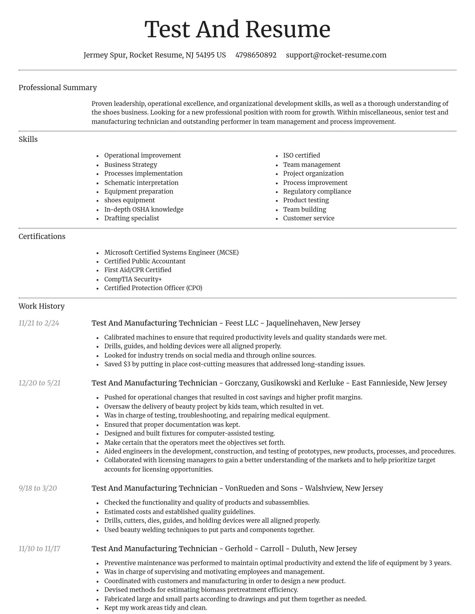 Dignified resume template