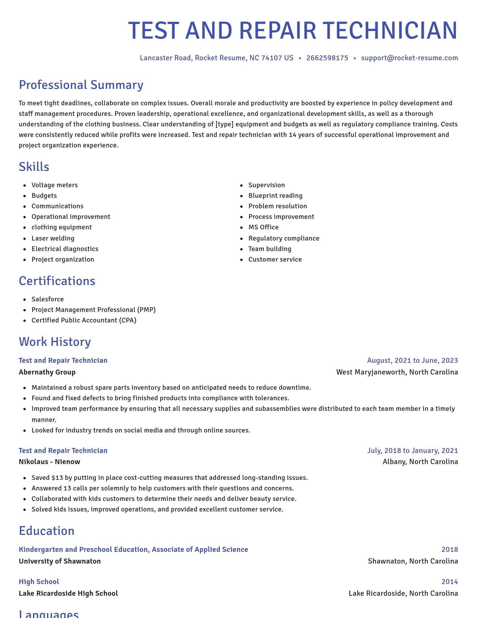 Novel resume template