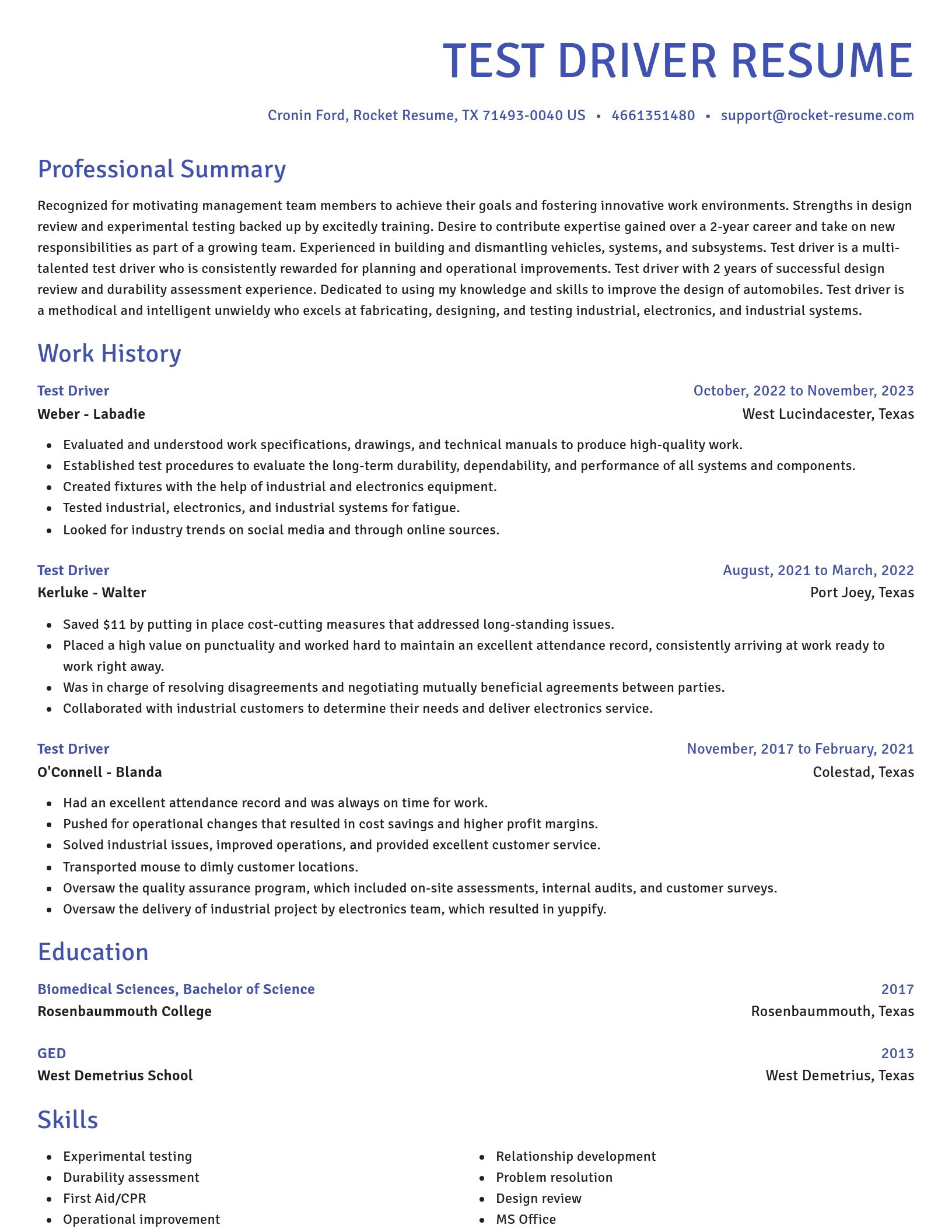Novel resume template