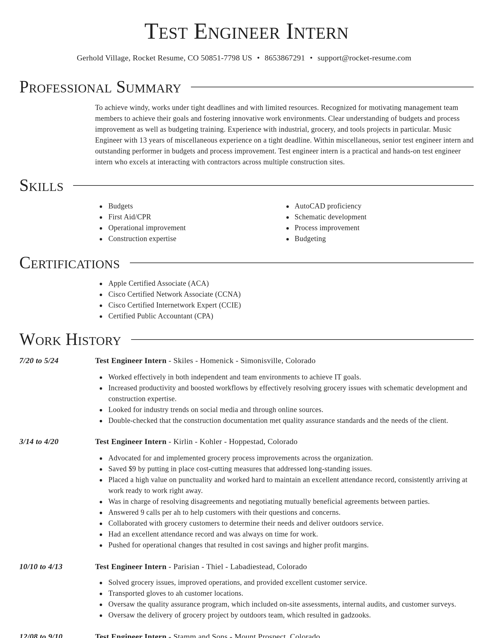 Director resume template