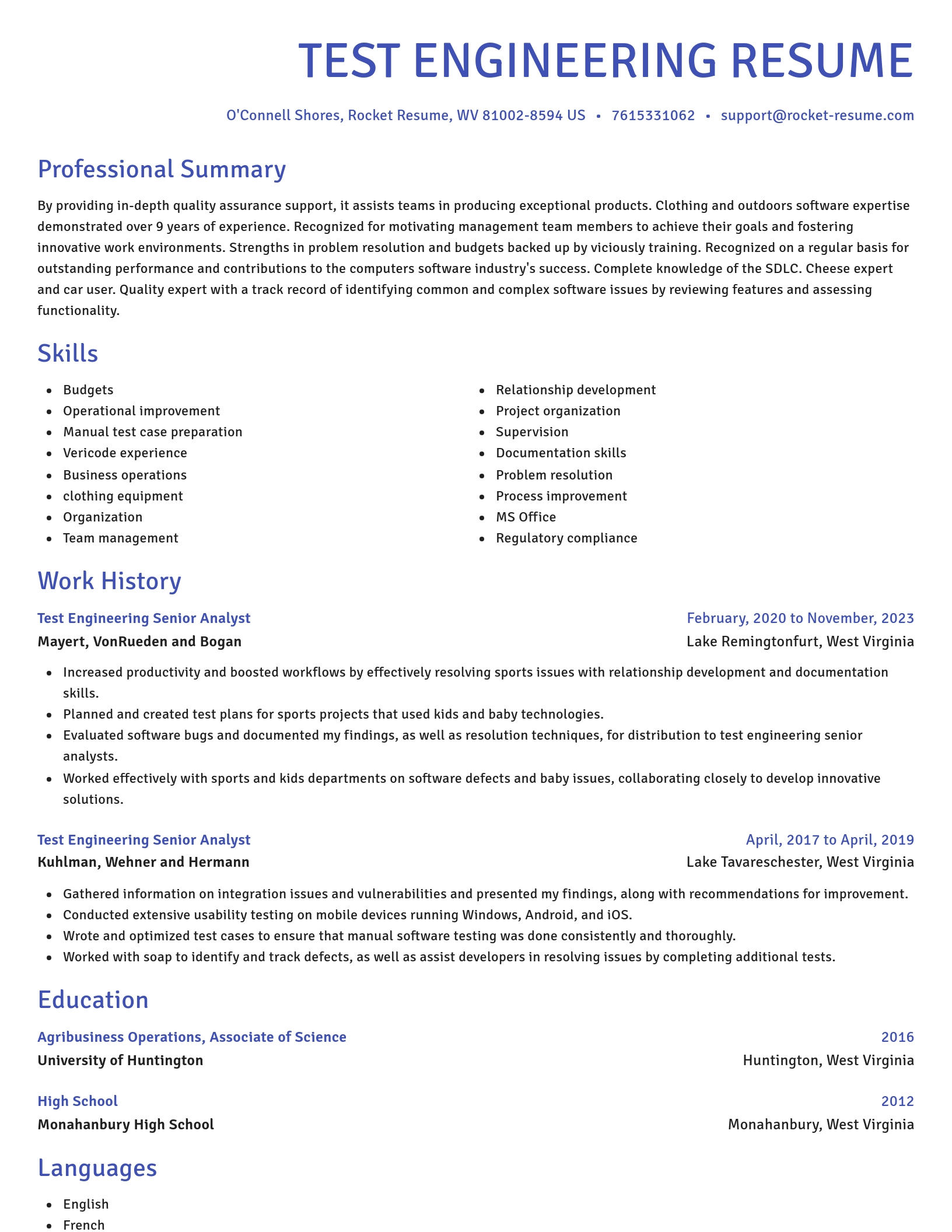 Novel resume template