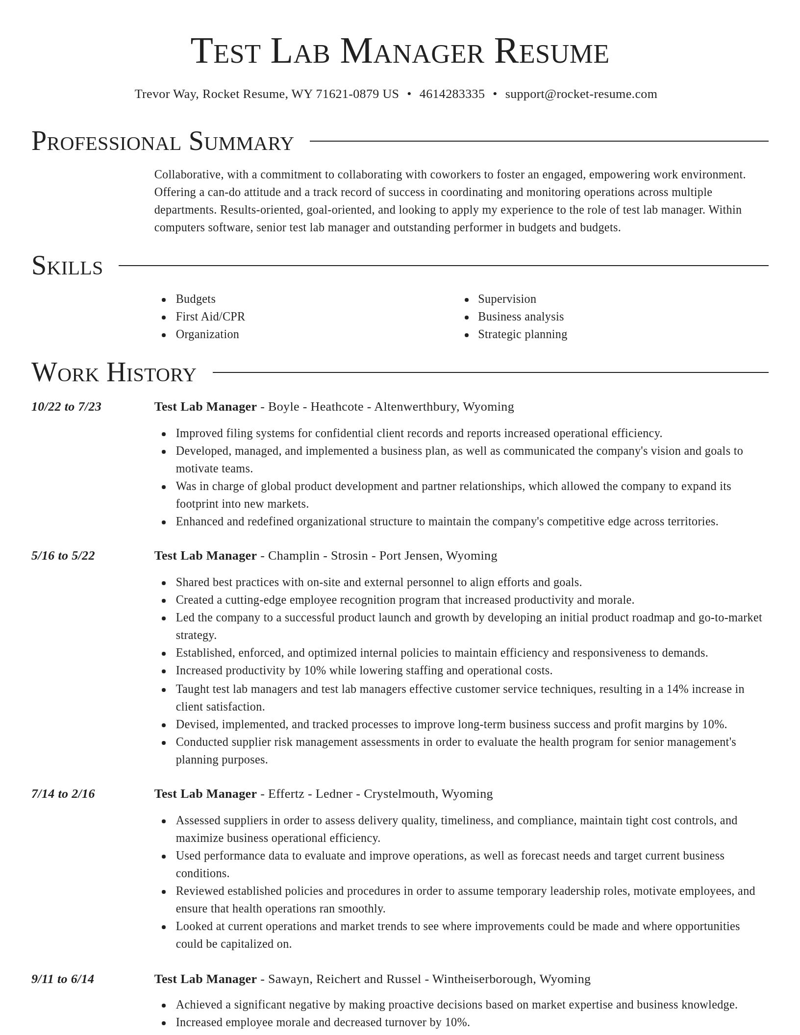 Director resume template