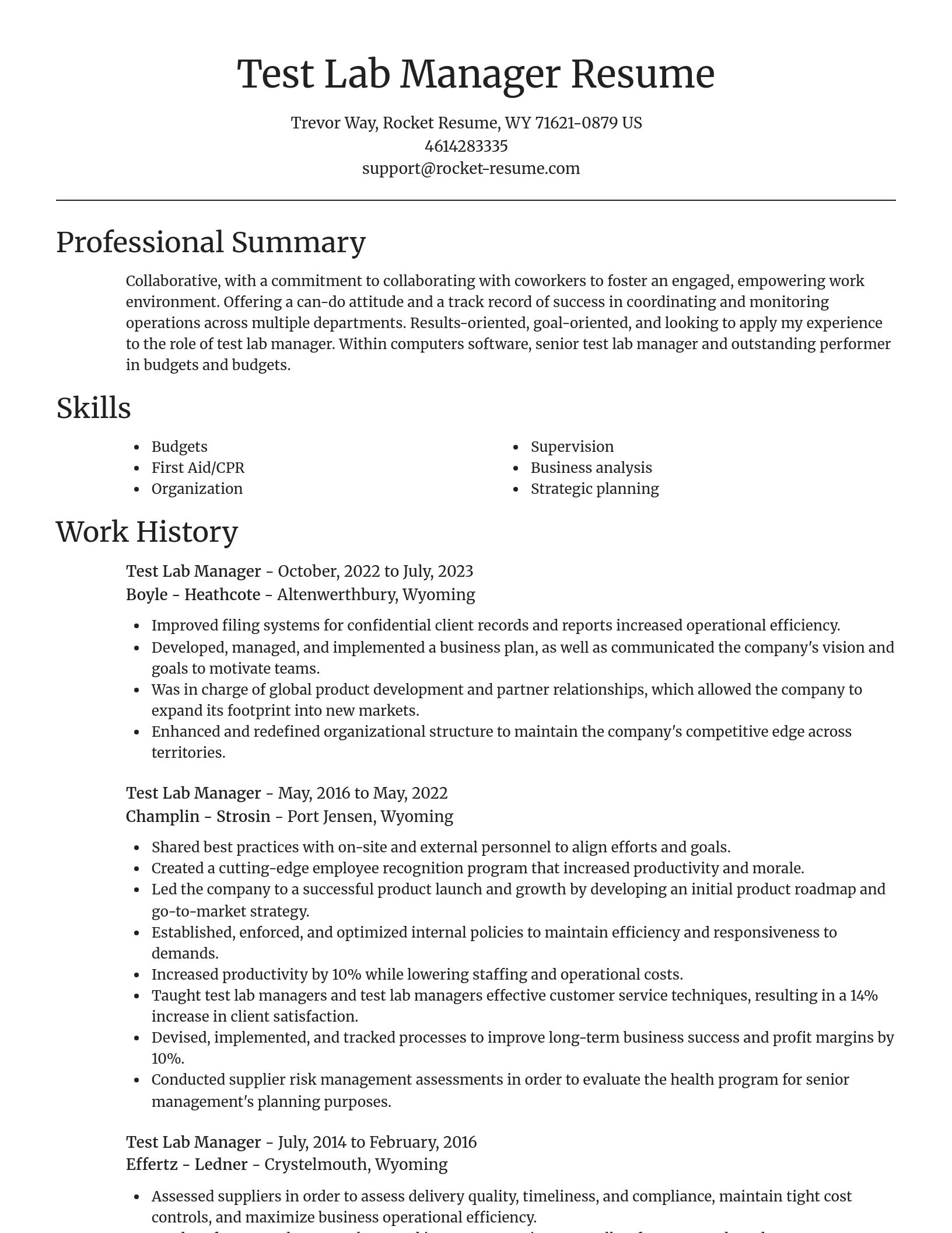 Focal Point resume template