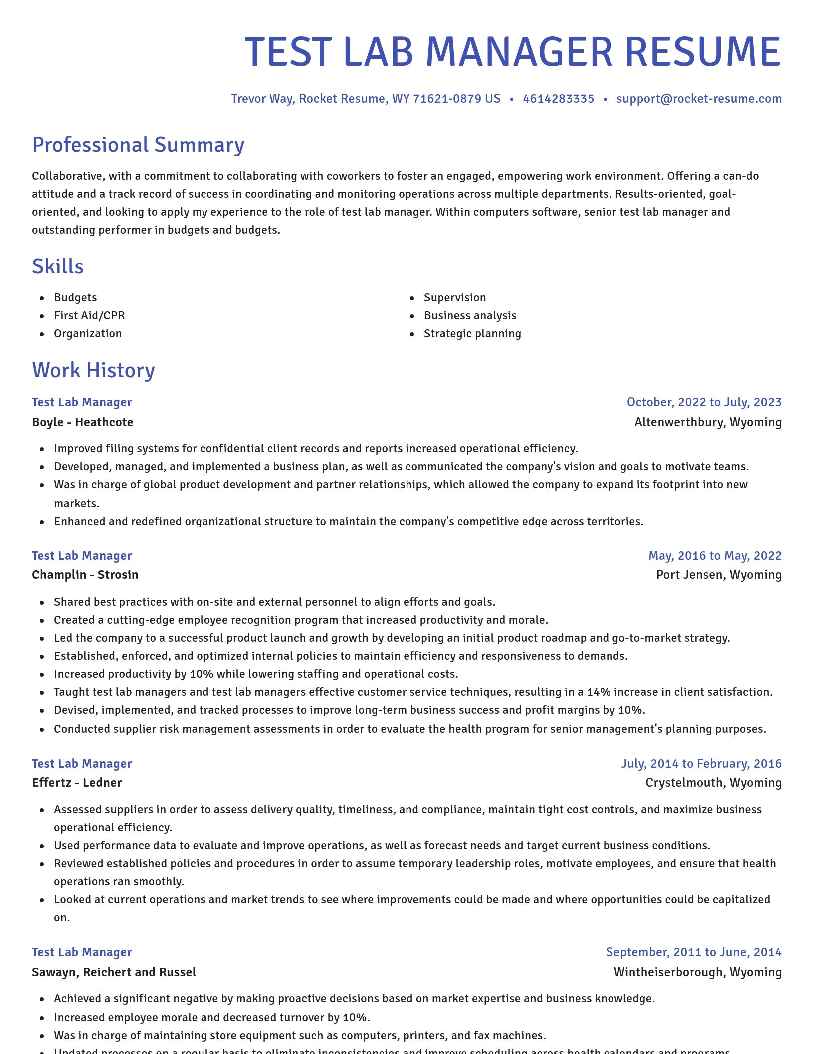 Novel resume template