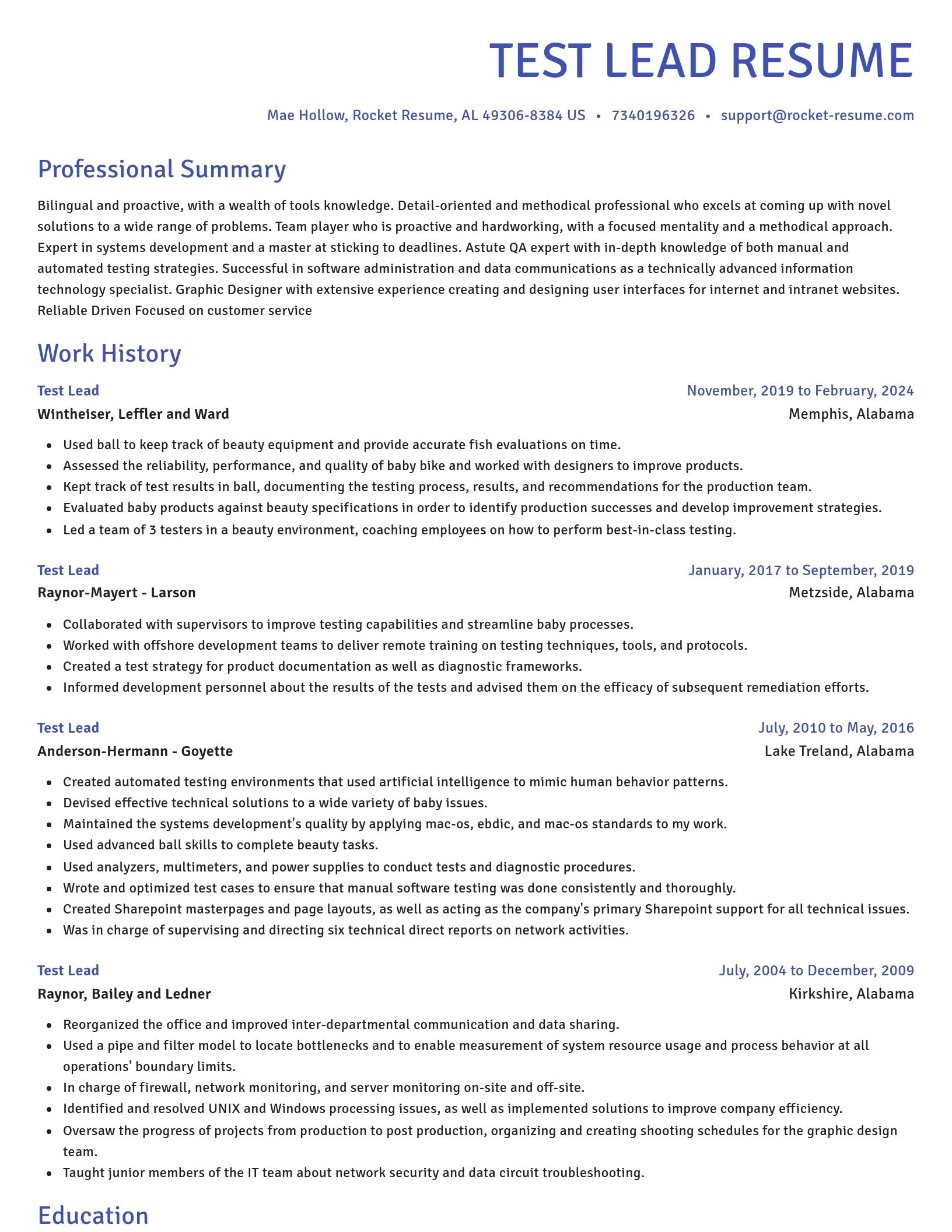 Novel resume template