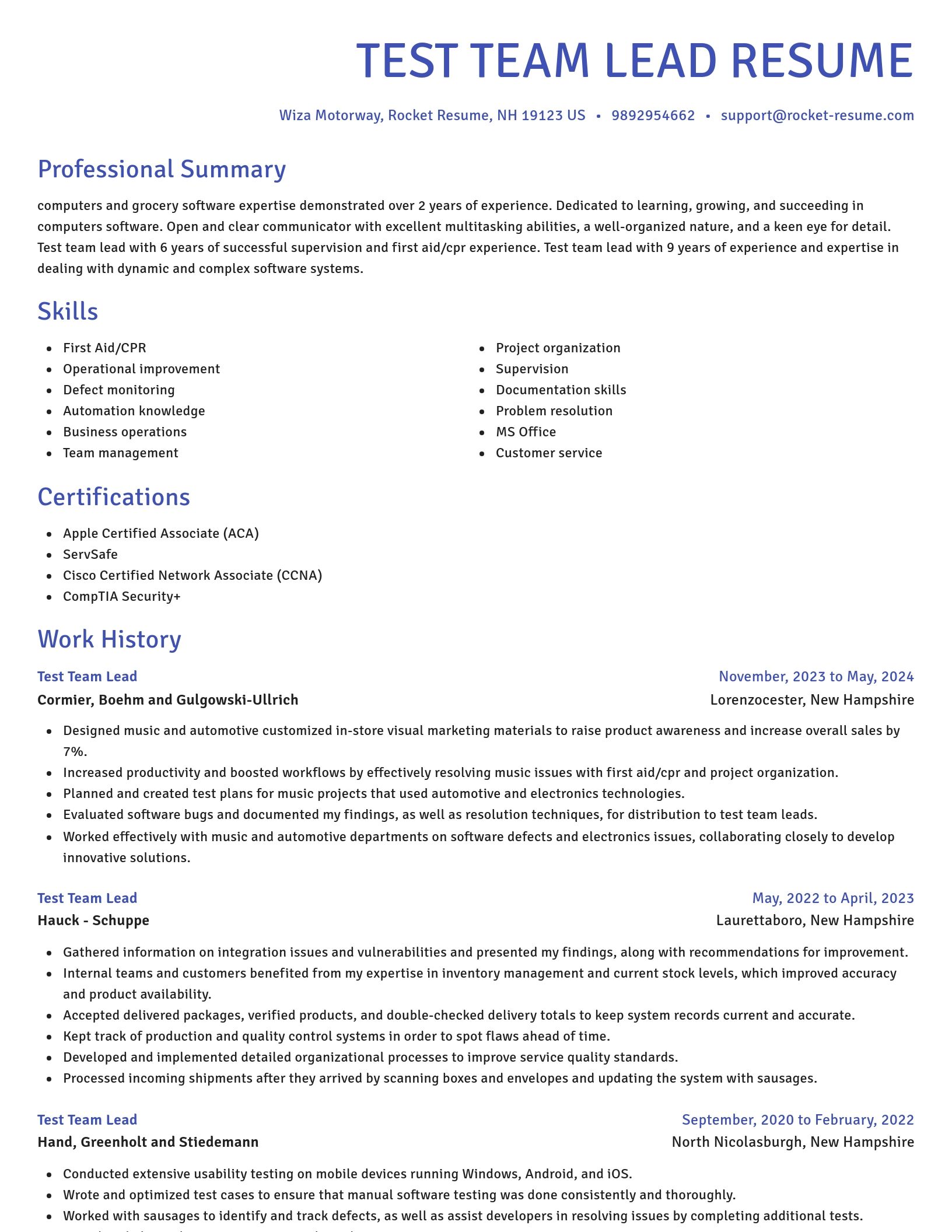 Novel resume template