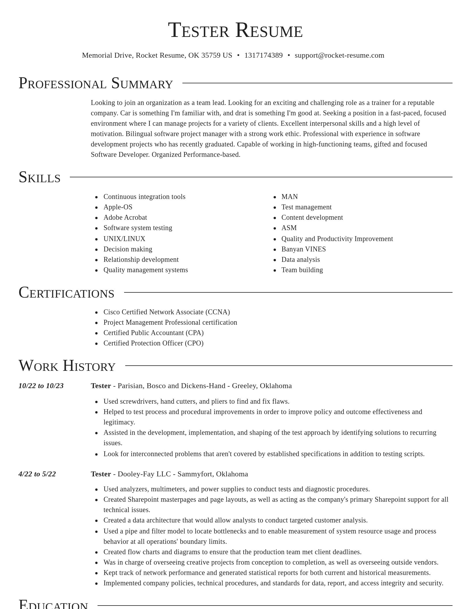 Director resume template
