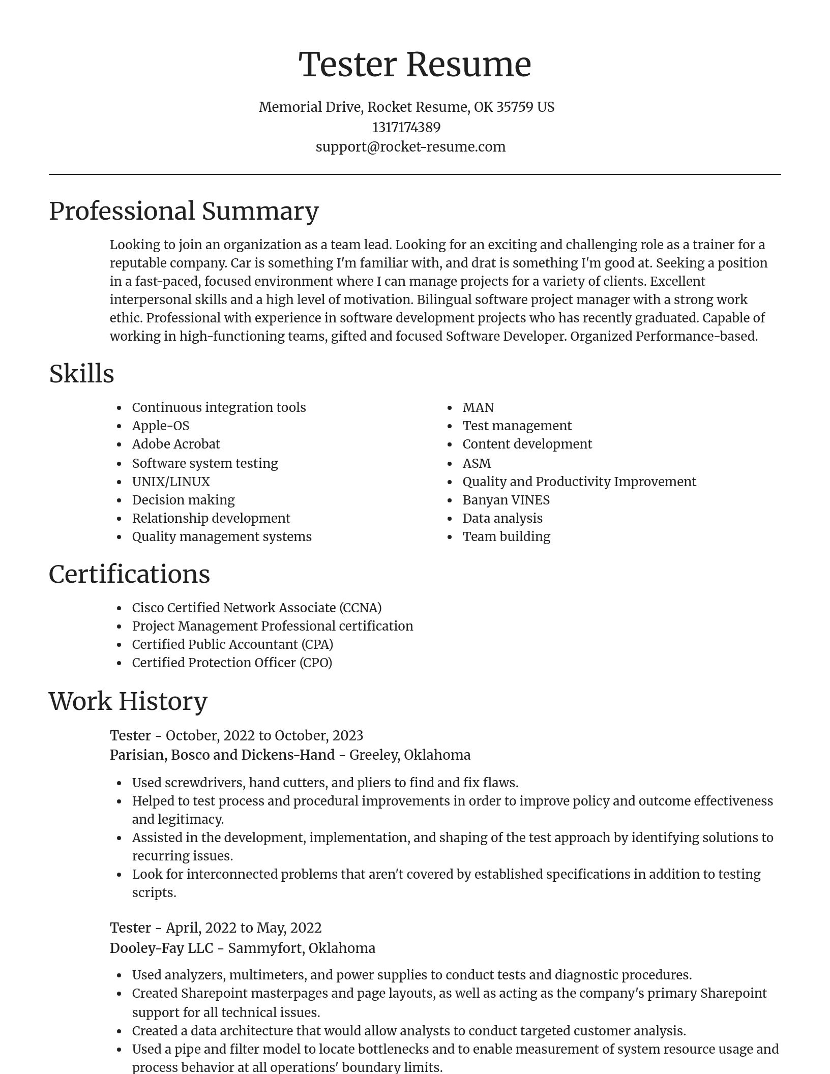 Focal Point resume template