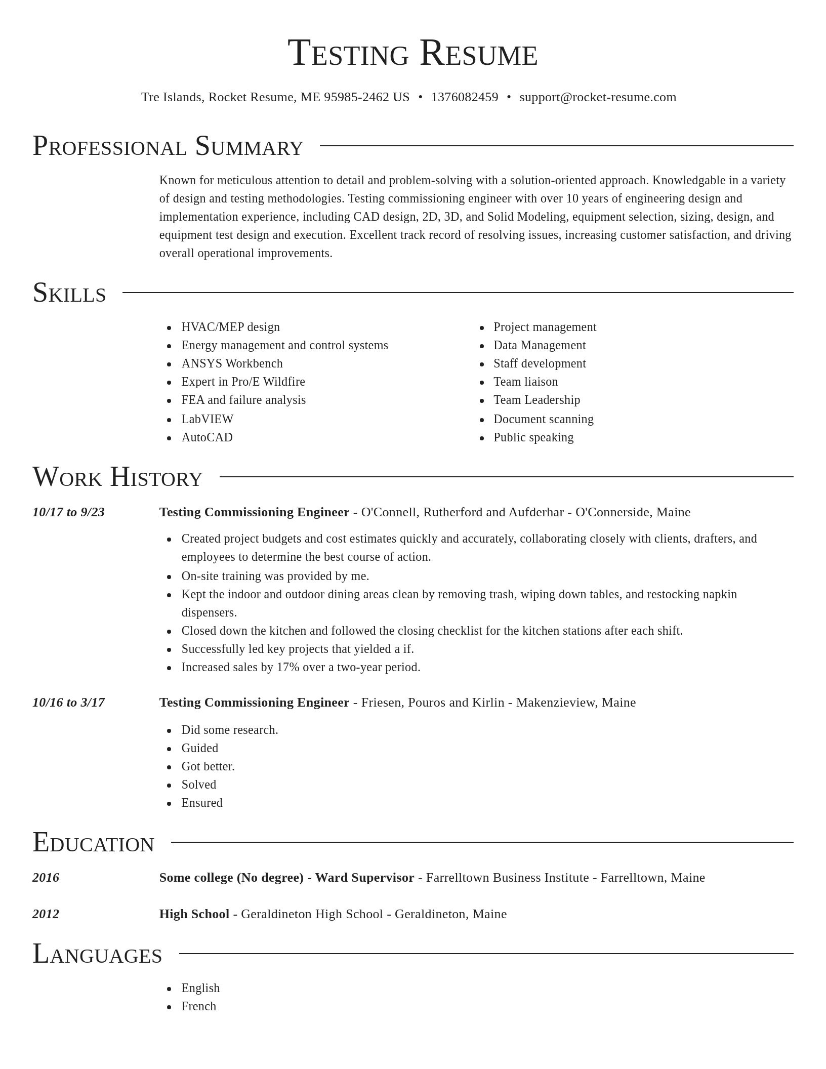 Director resume template