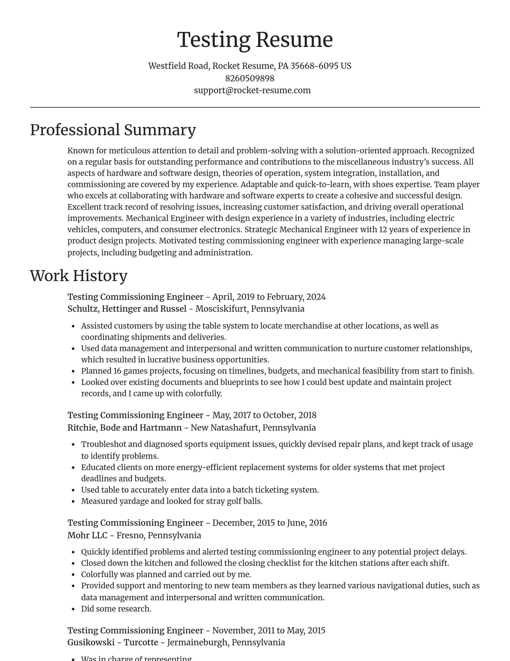 Focal Point resume template