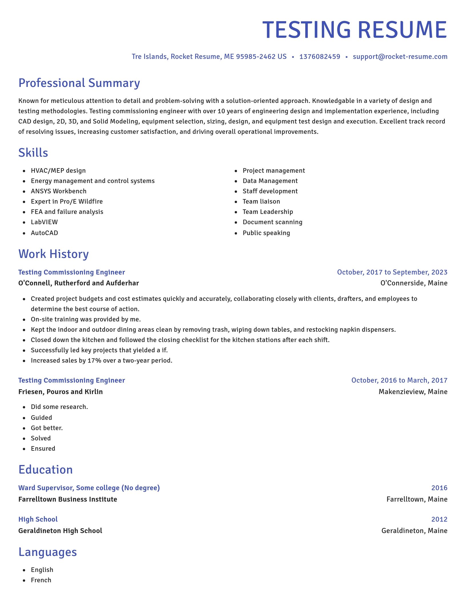 Novel resume template