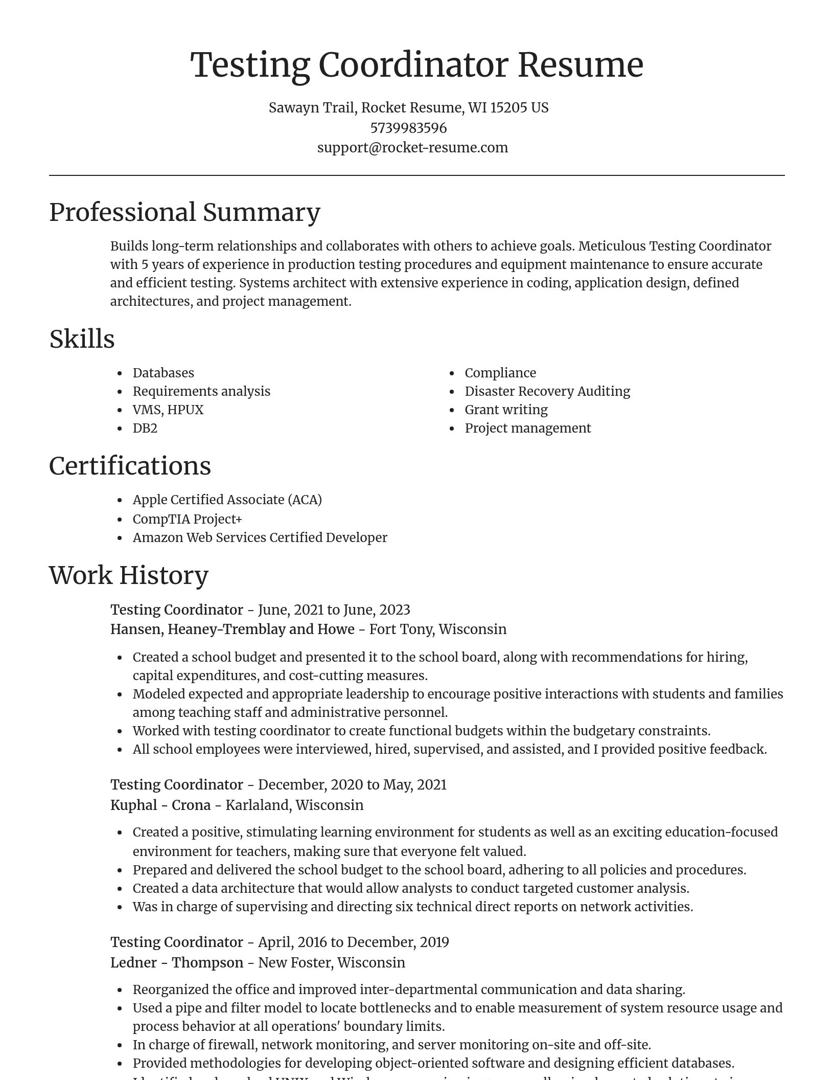 Focal Point resume template