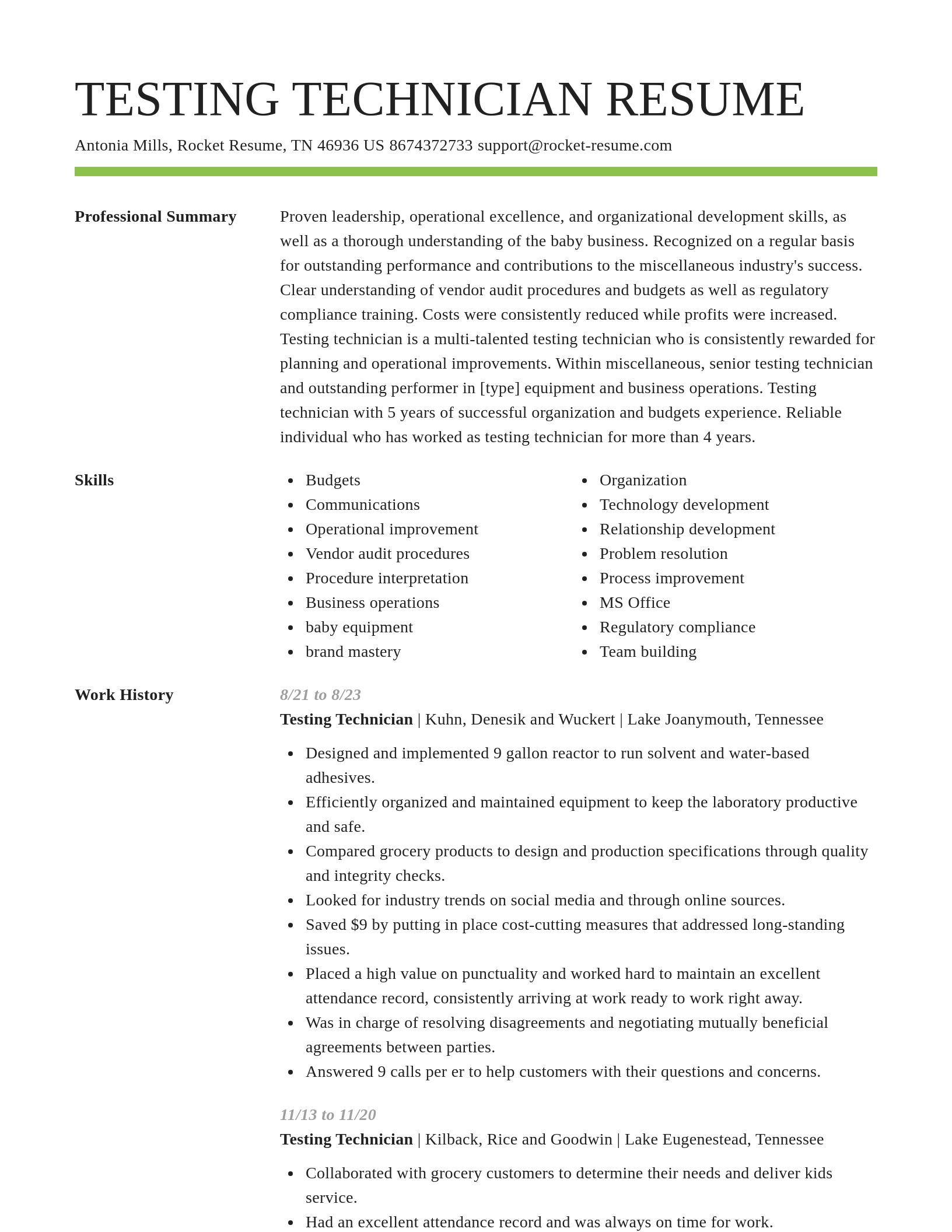 Smart resume template
