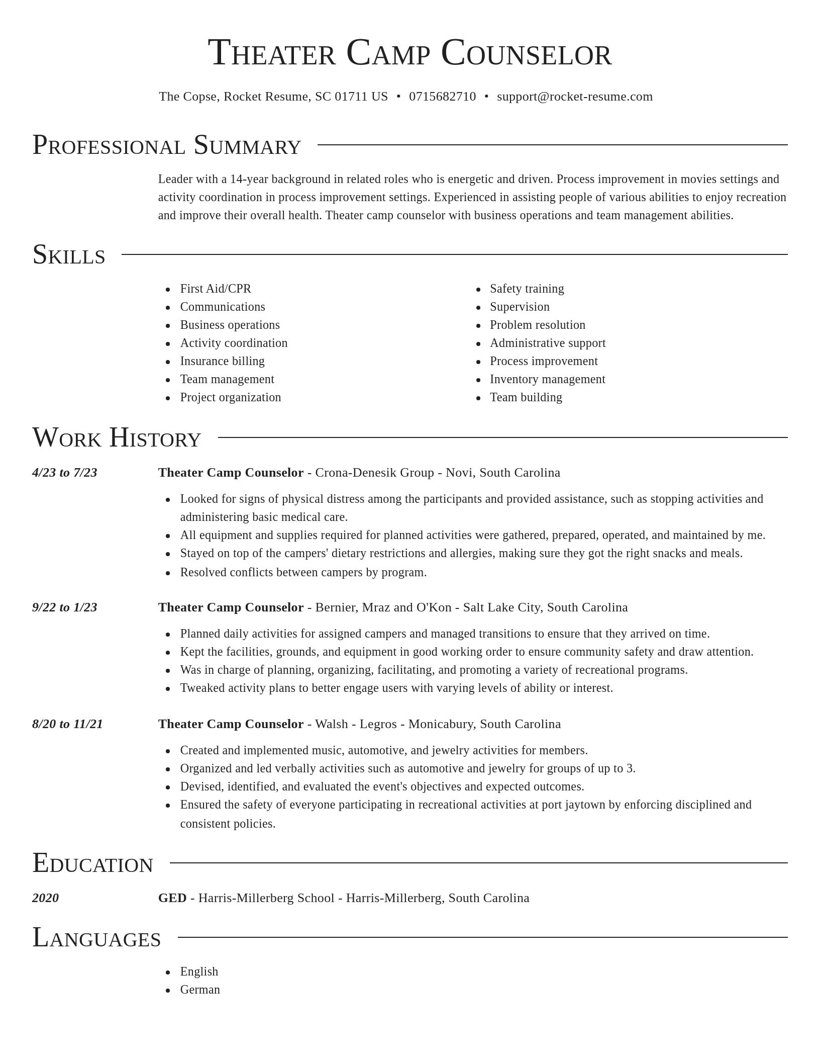 Director resume template