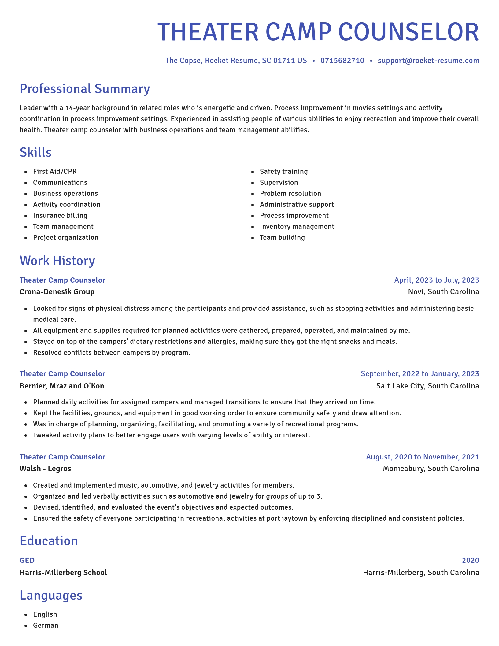Novel resume template