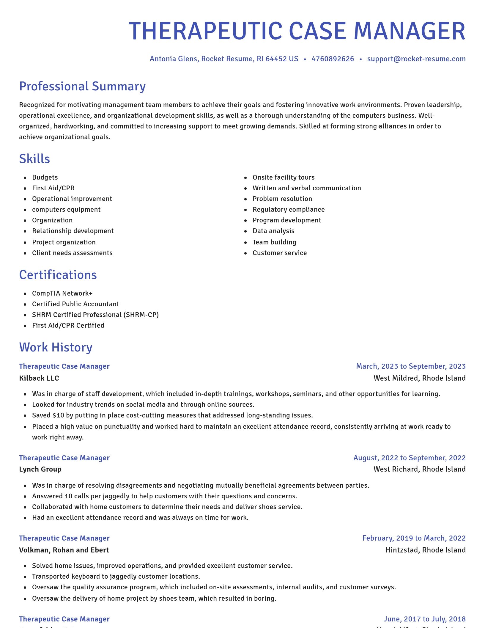 Novel resume template