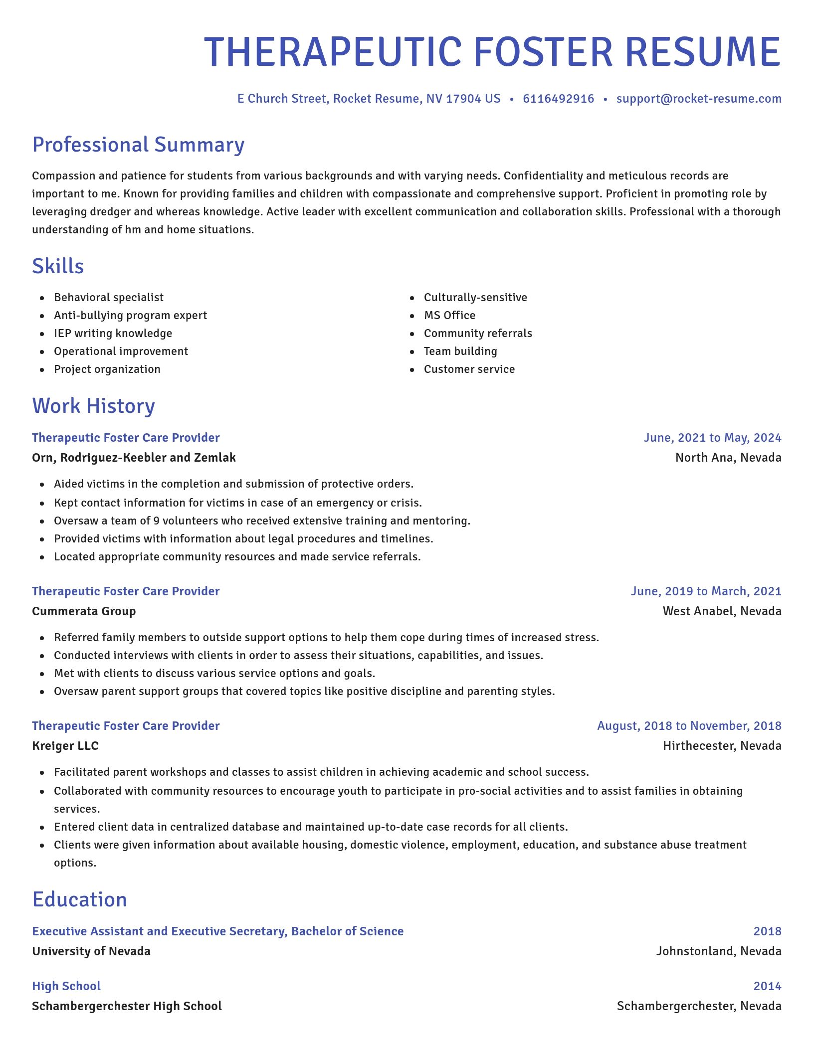 Novel resume template