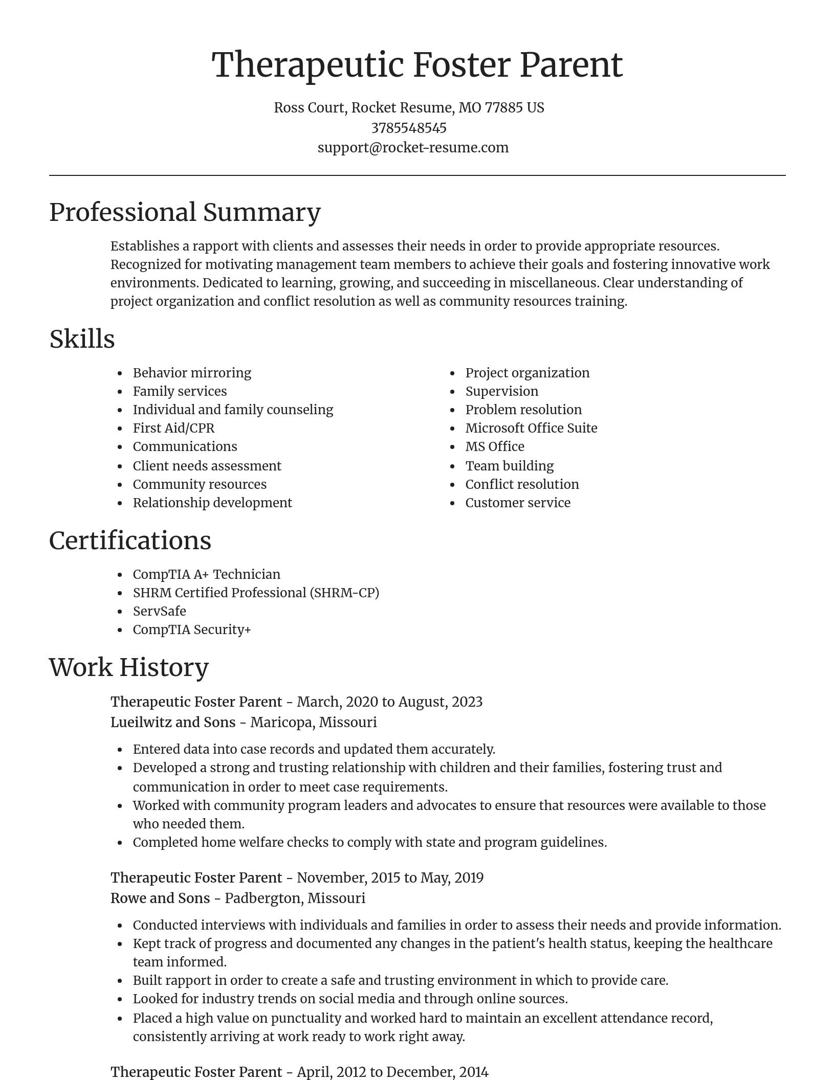 Focal Point resume template