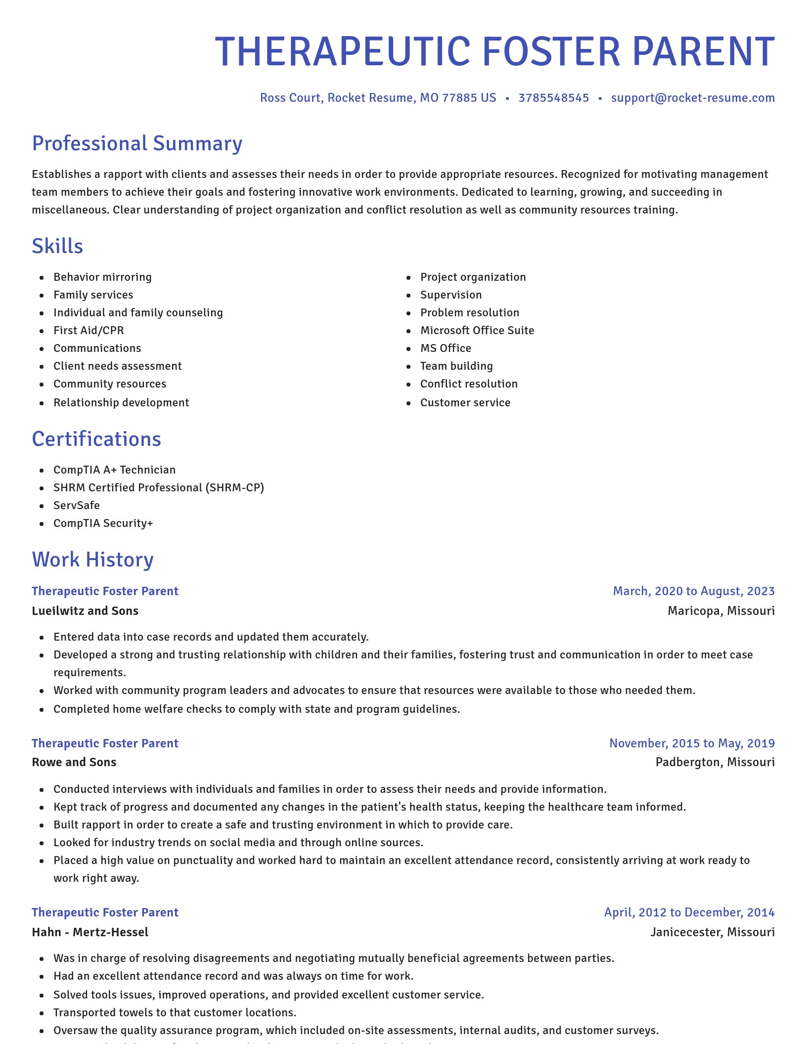 Novel resume template