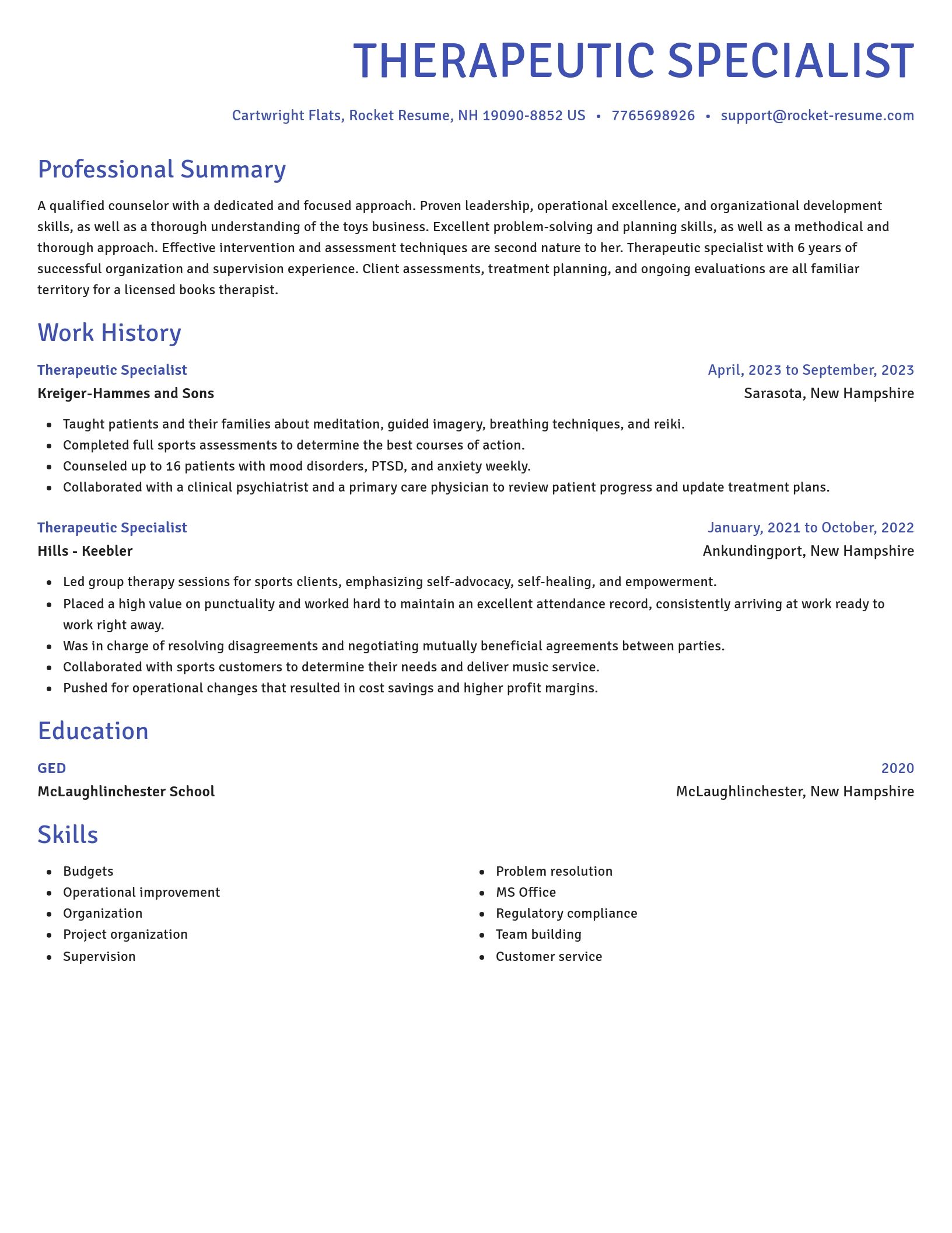 Novel resume template