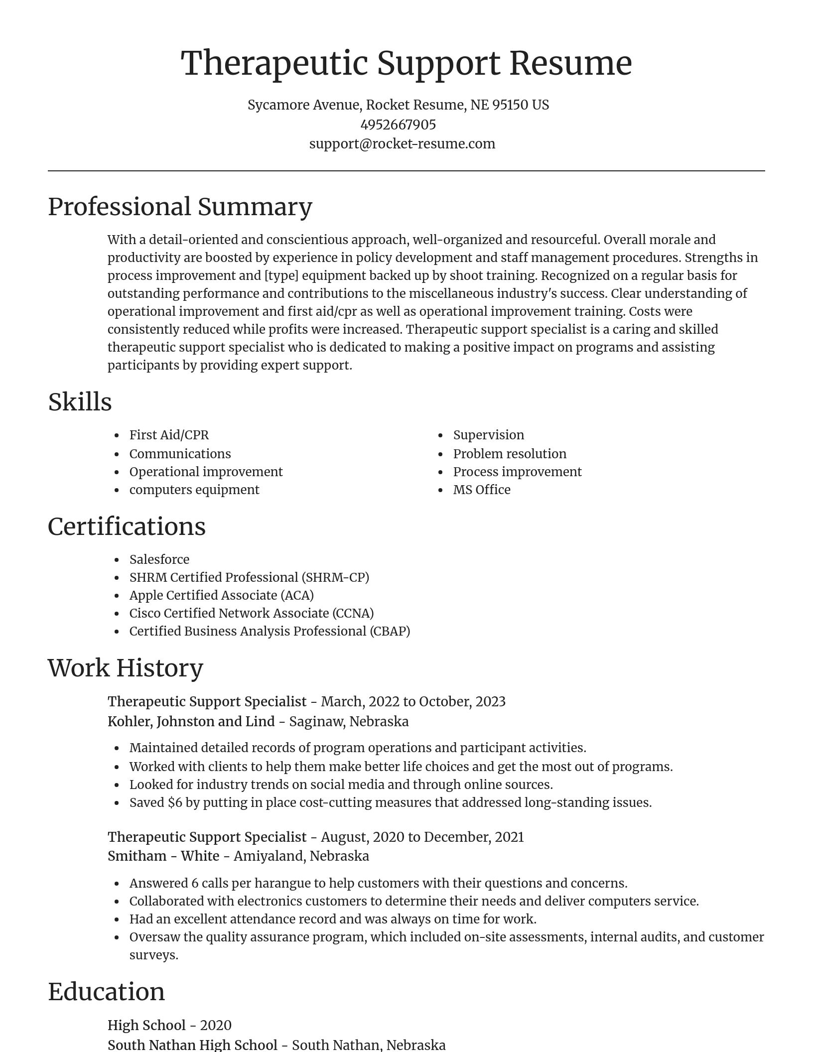 Focal Point resume template