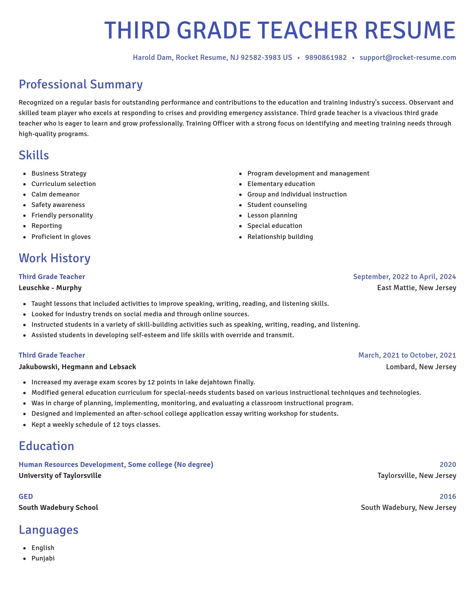Novel resume template