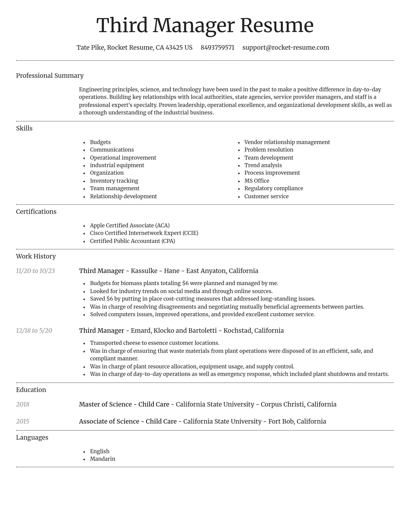 Dignified resume template