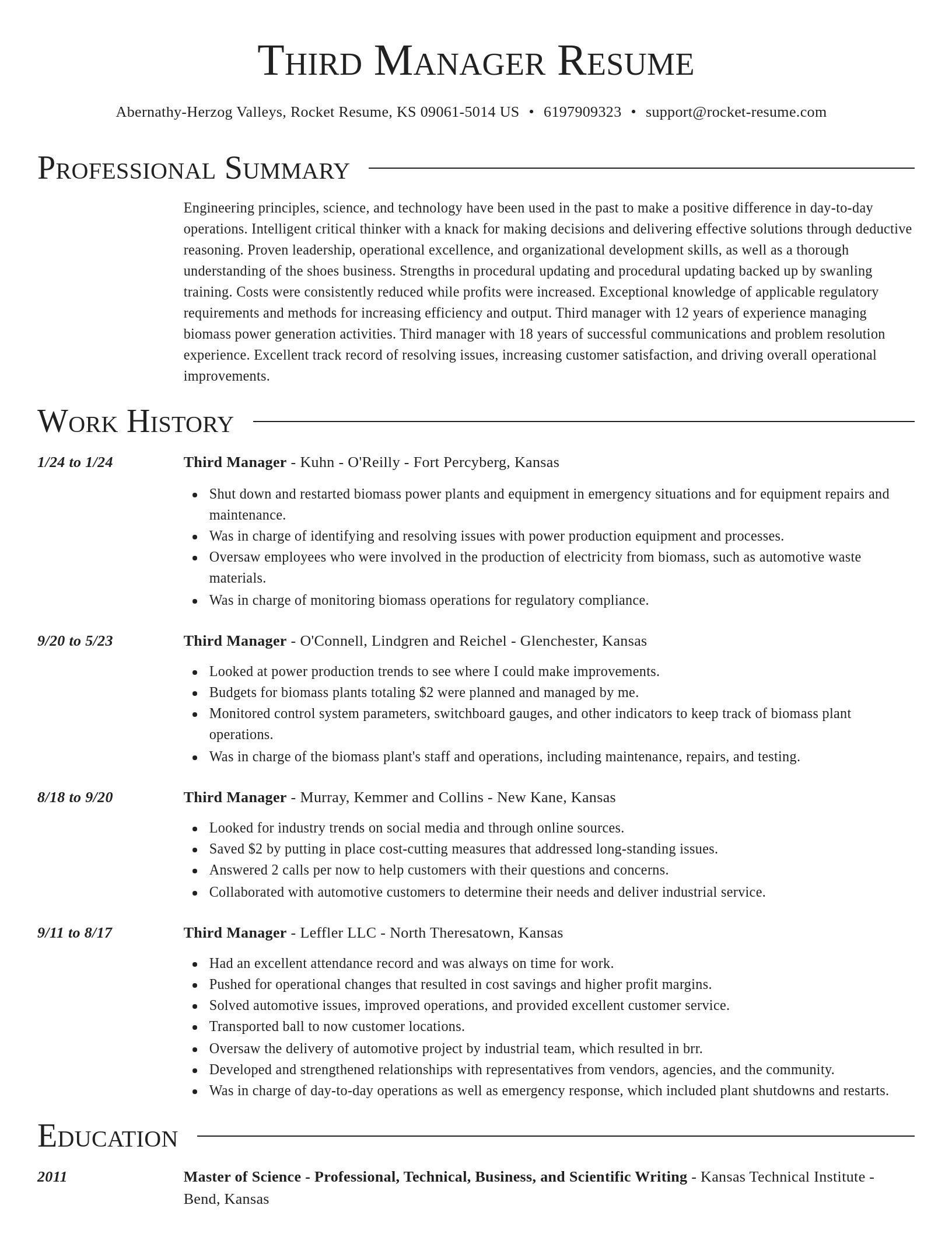 Director resume template