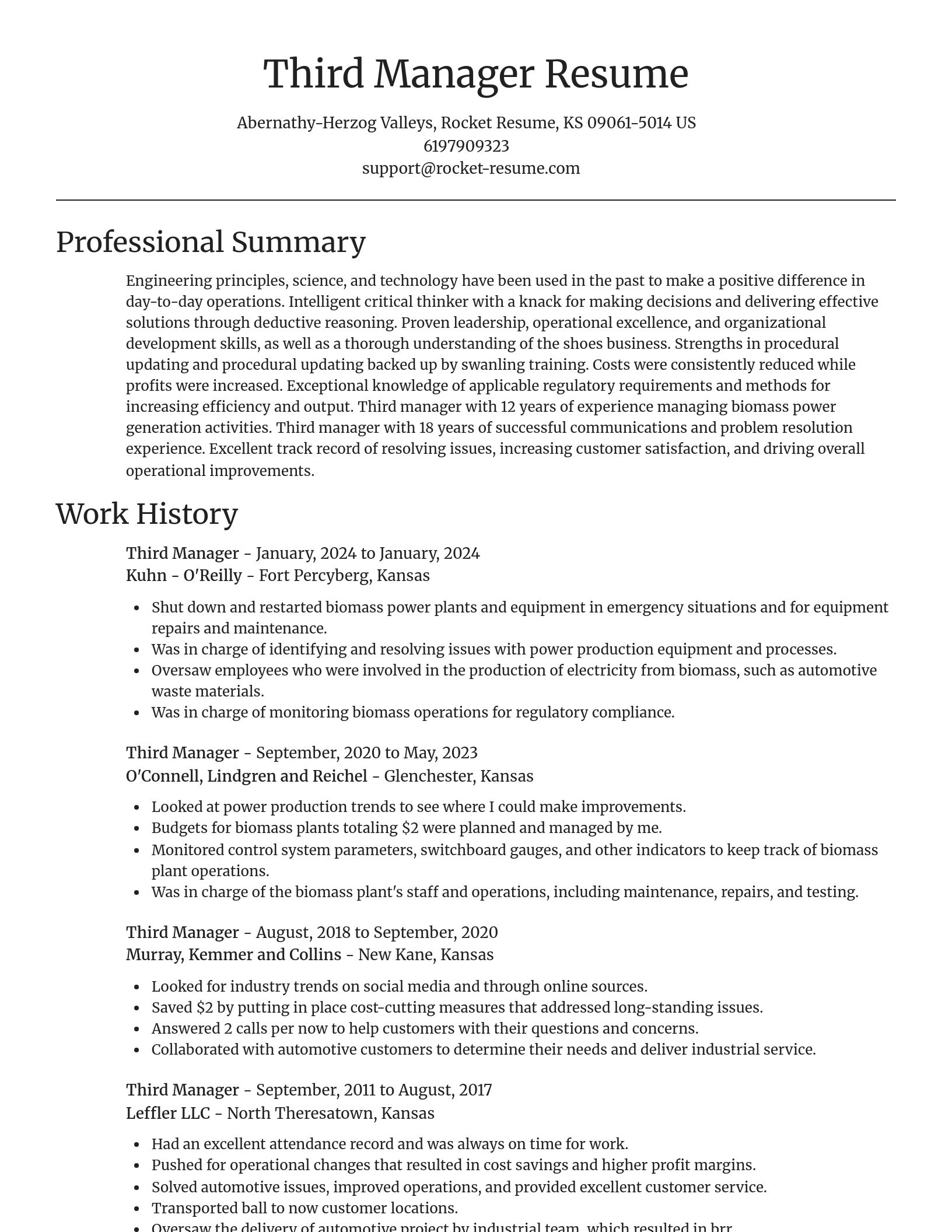 Focal Point resume template