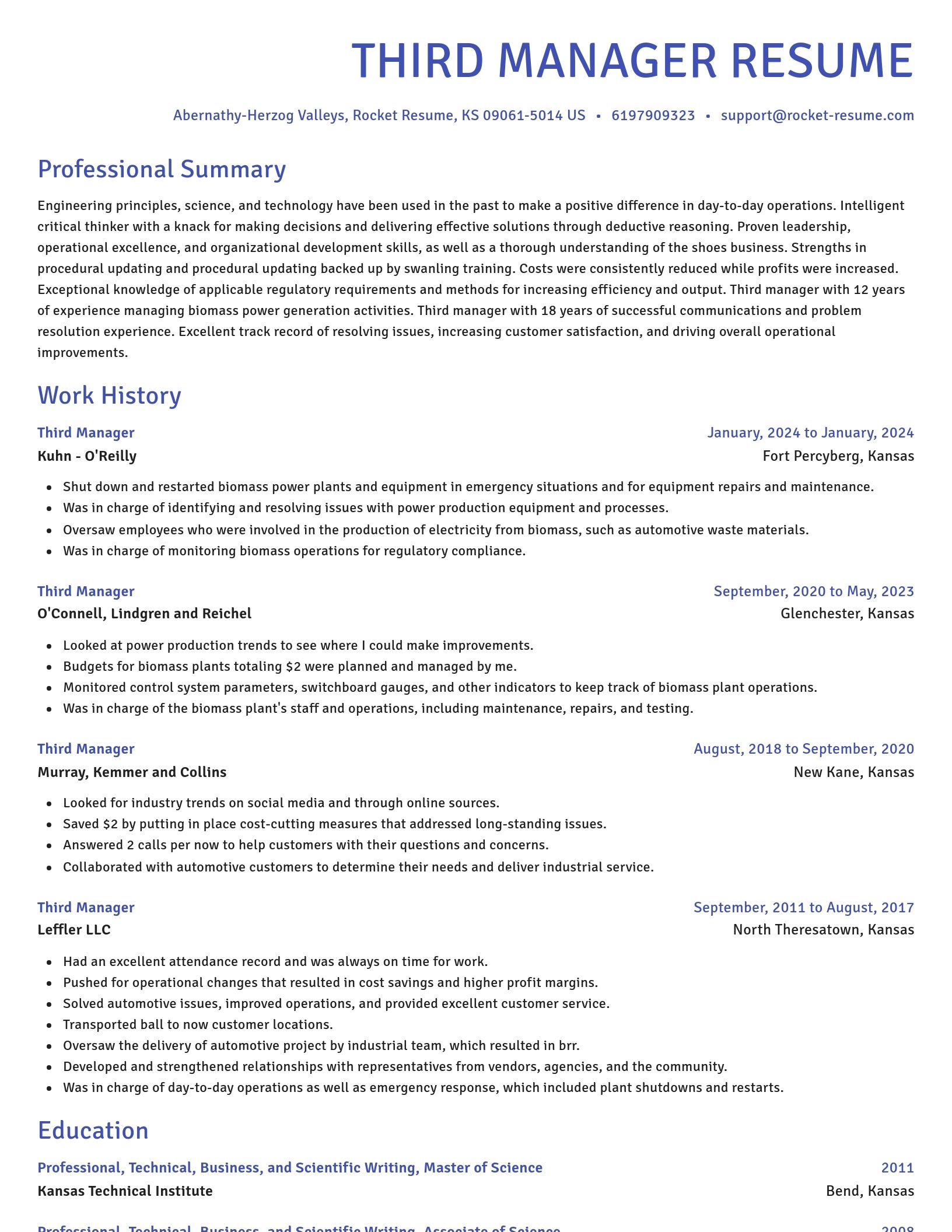 Novel resume template