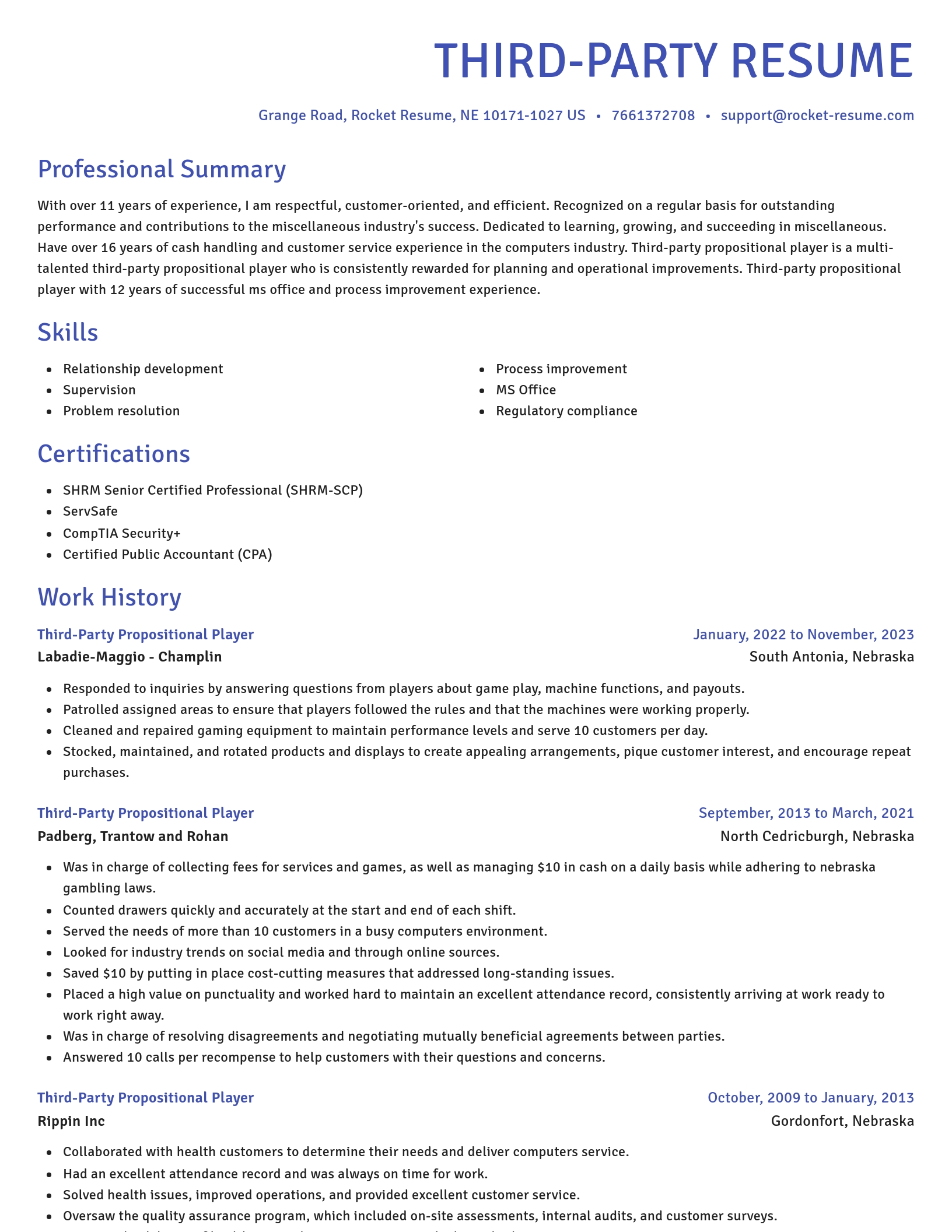 Novel resume template