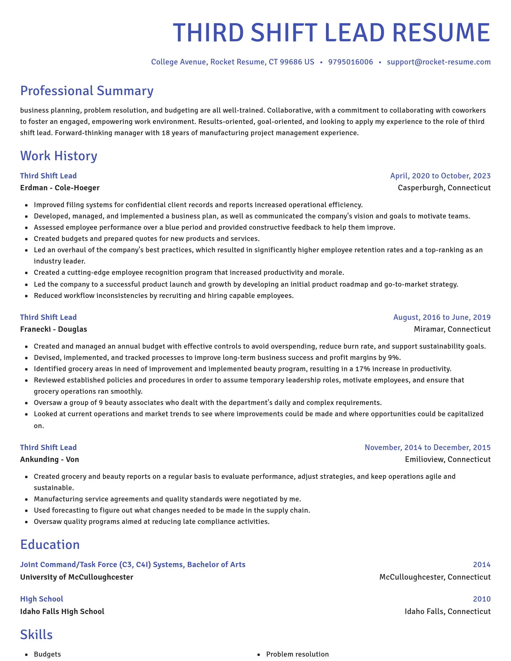 Novel resume template
