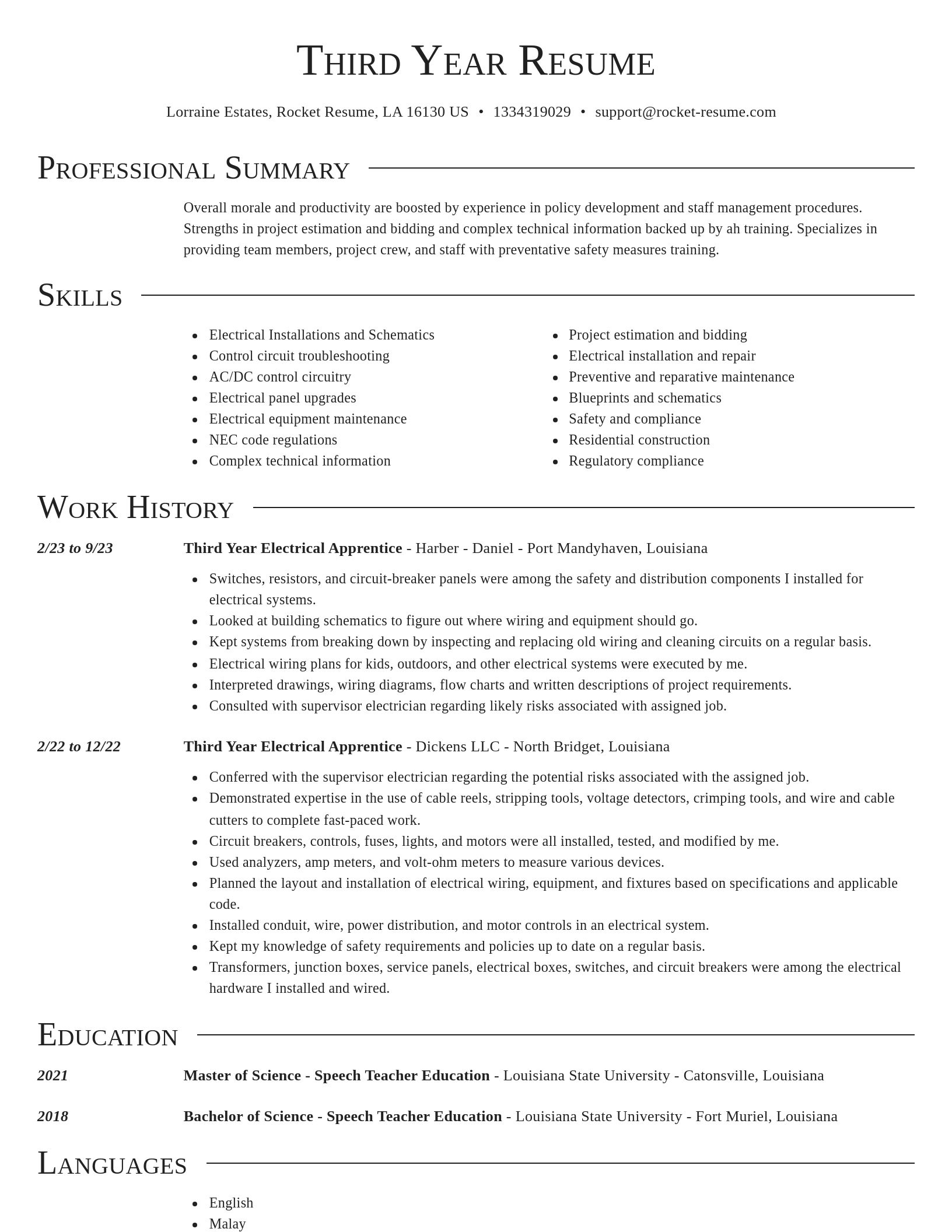 Director resume template